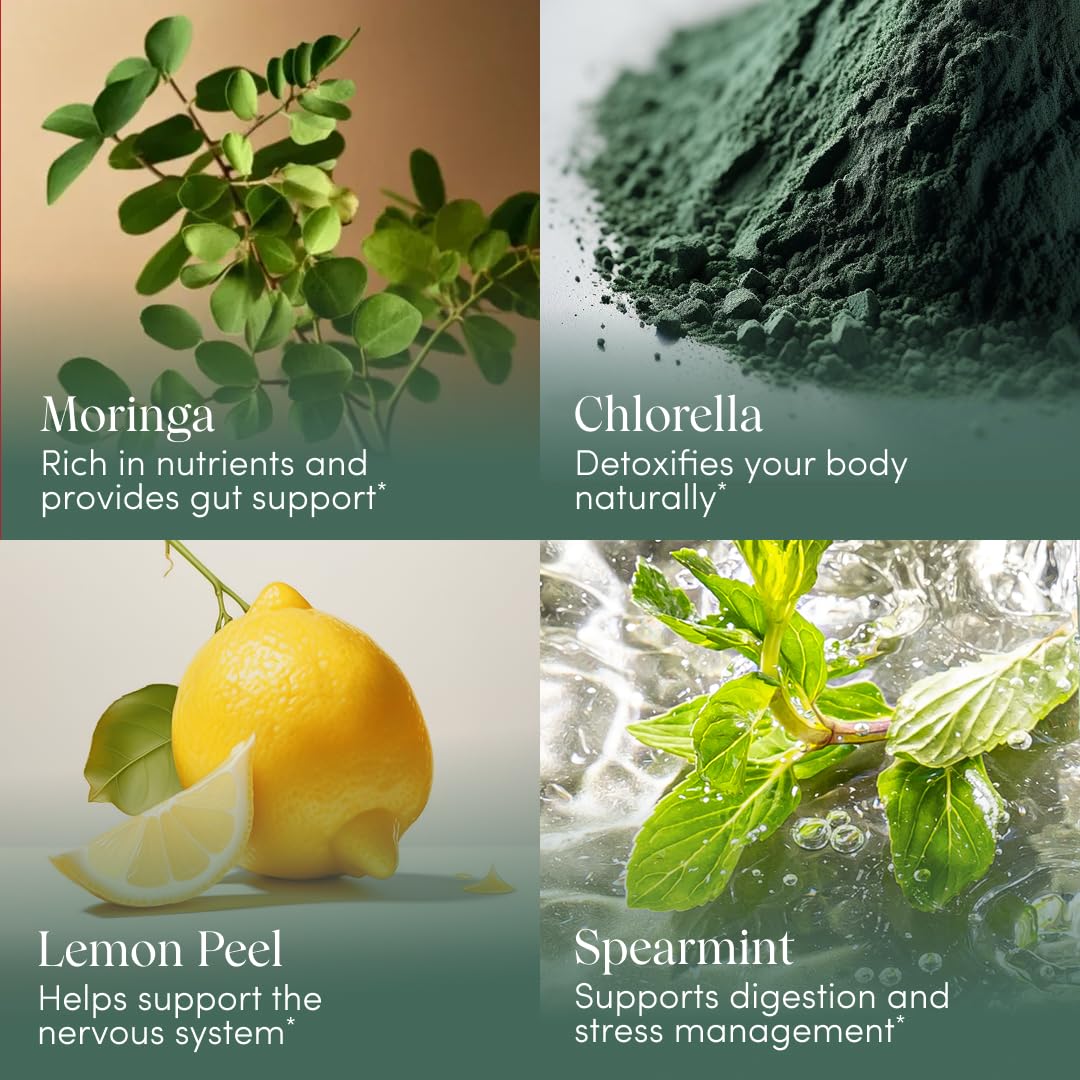 Apothékary Your Wildest Greens Herbal Liquid Drops, All-in-One Daily Superfood Supplement, Vitamin & Mineral Support, 5X Potency of Greens Powders, Sugar Free, Calorie Free, (15 Servings) 1.22oz ApothékaryAu supplements