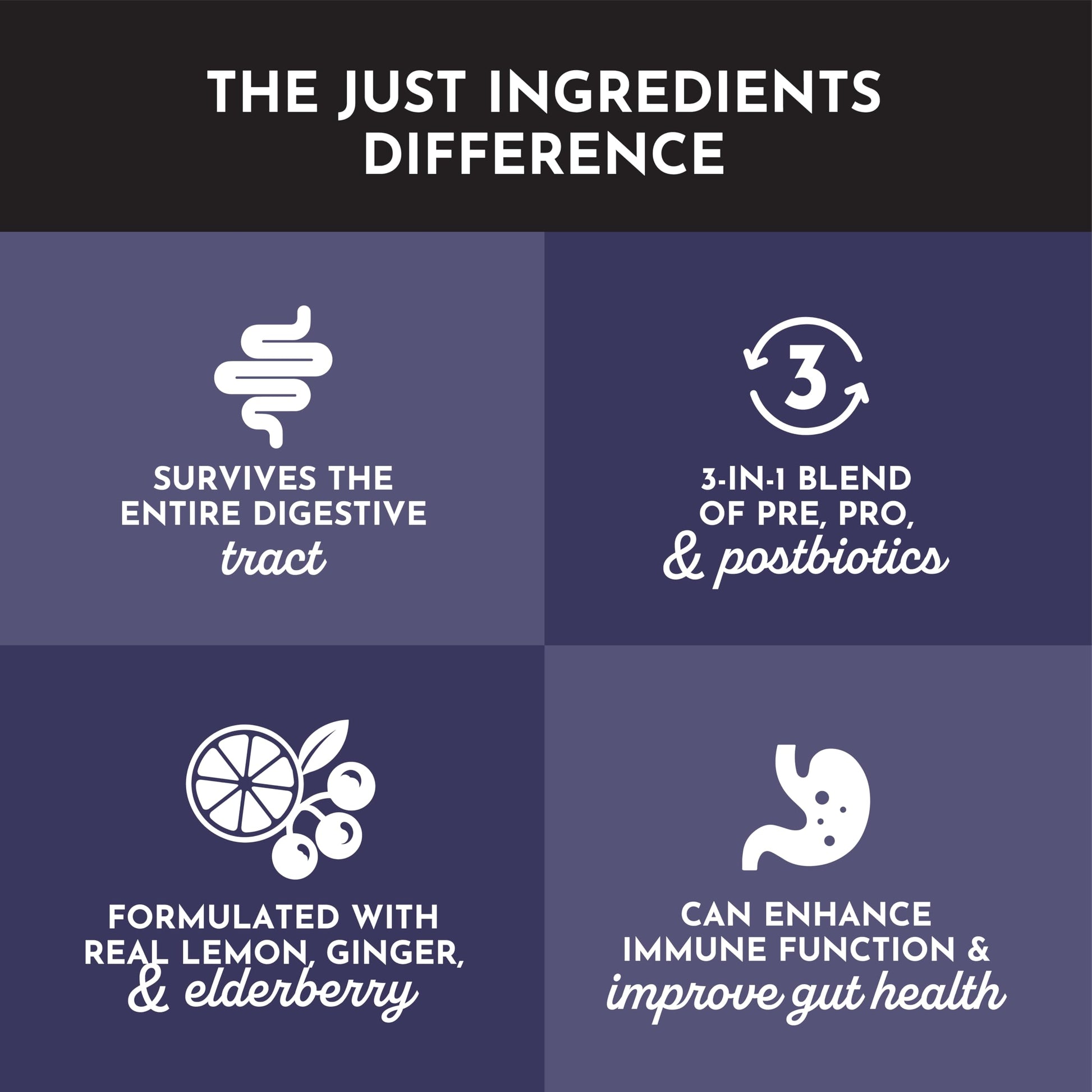 JUST INGREDIENTS Elderberry Lemonade 3-in-1 Probiotic Complex - Prebiotics, Probiotics & Postbiotics - 30 Sticks JUST INGREDIENTSAu supplements