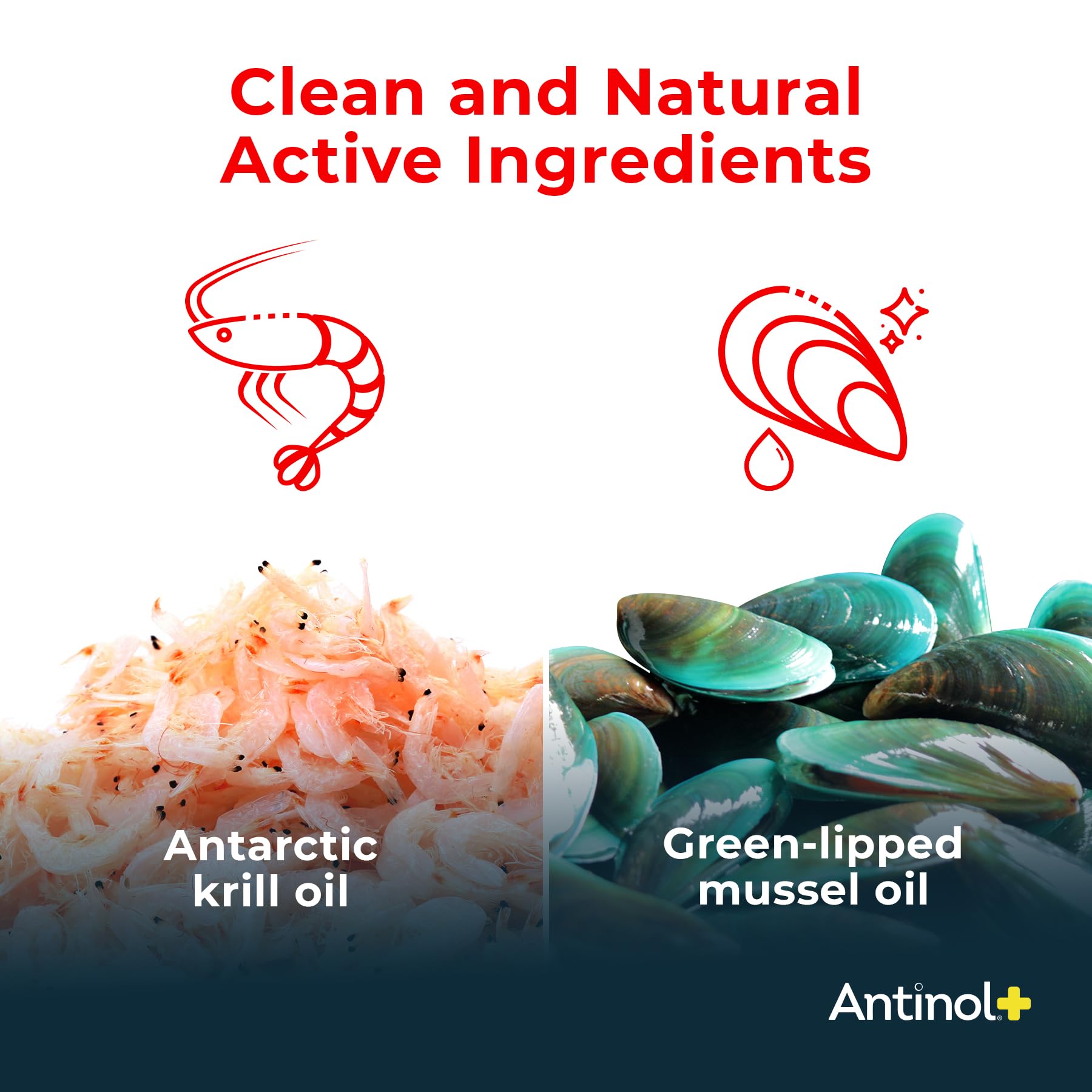Antinol Plus, Mobility, Hip, and Joint Supplement for Cats, Green-Lipped Mussels and Krill Oil - Cat Joint Supplement, 30 Soft Gels AntinolAu supplements