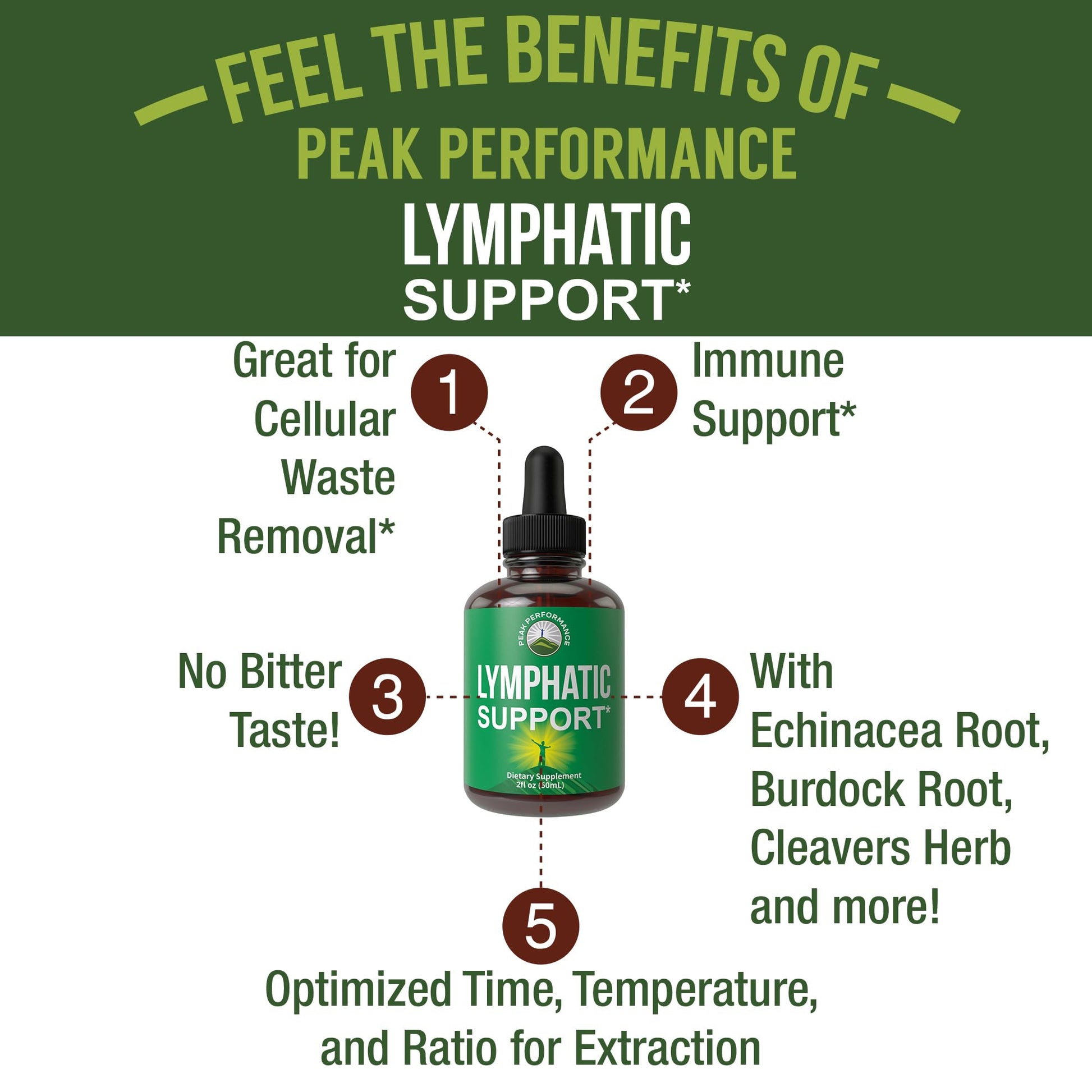 Lymphatic Drainage Drops. Sugar Free 7-in-1 Lymph Detox and Cleanse Support. Vegan Supplement with Echinacea, Red Clover Blossom, Burdock Root, Cleavers Herb, Licorice Root, and More! Peak PerformanceAu supplements