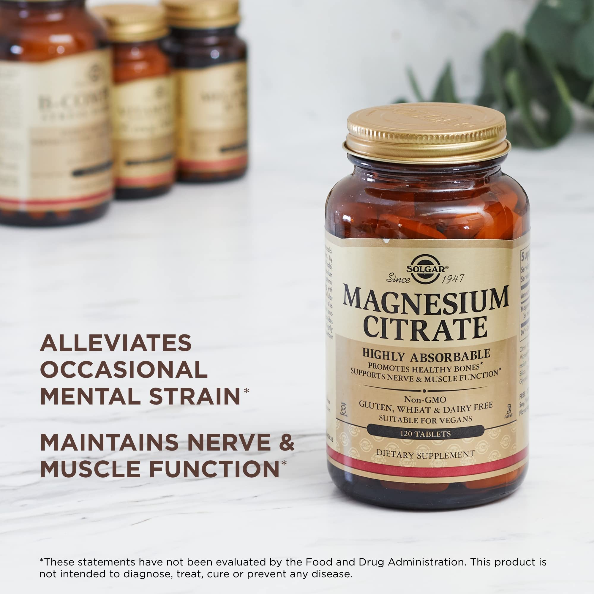 Solgar Magnesium Citrate - 120 Tablets, Pack of 2 - Promotes Healthy Bones, Supports Nerve & Muscle Function - Highly Absorbable - Non-GMO, Vegan, Gluten Free, Kosher - 120 Total Servings SolgarAu supplements