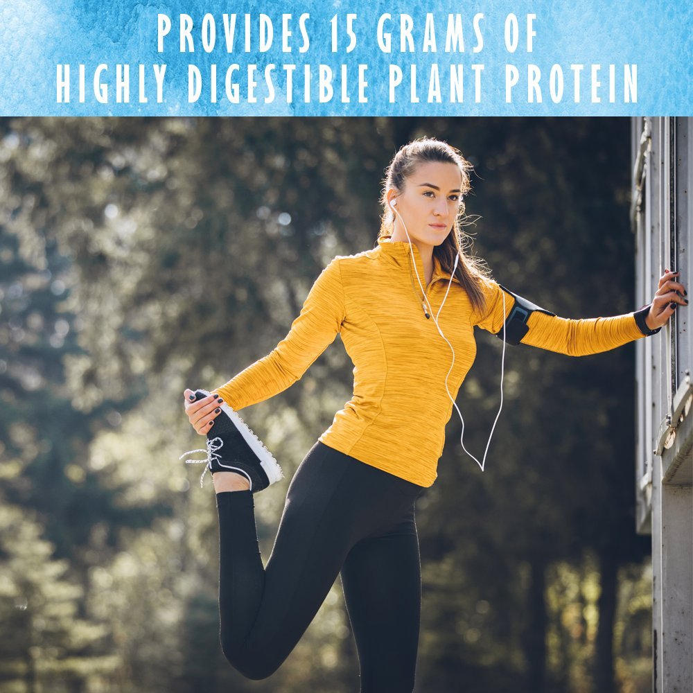 Garden of Life Organic Plant Based Protein Powder - Smooth Vanilla, Vegan, Grain Free Garden of LifeUS supplements