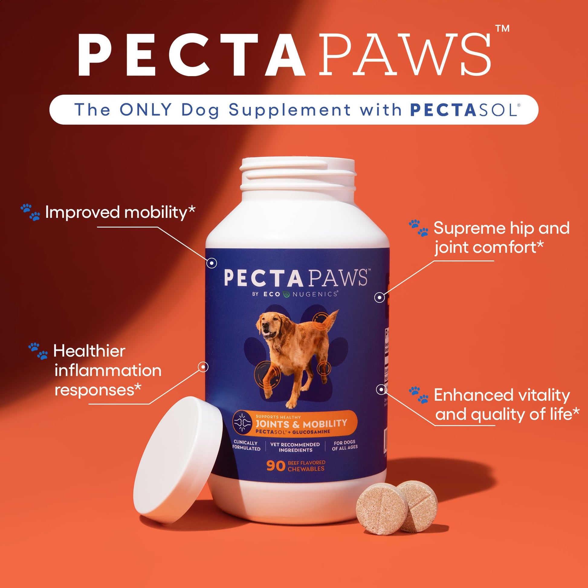 ecoNugenics PectaPaws Chewable Dog Supplements – Beef Flavor, 90 Count – PectaSol Modified Citrus Pectin + Glucosamine HCI for Dogs of All Ages, Supports Mobility, Joints, Immune Function, Pain Relief EcoNugenicsAu supplements