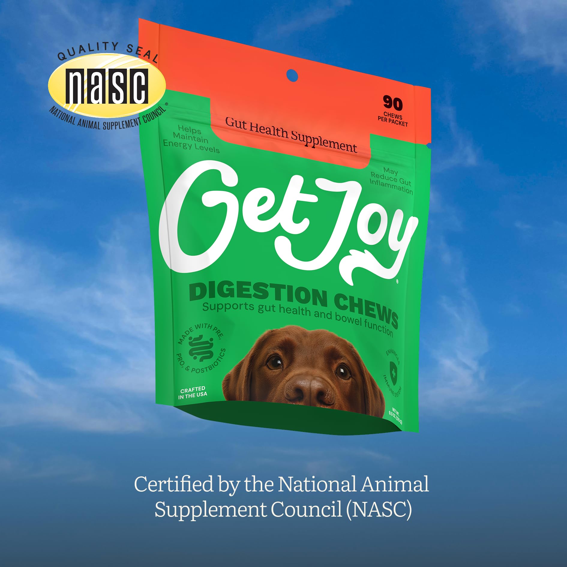 Get Joy Digestion Chews, Gut Health Supplement for Dogs, Vet Recommended Soft Daily Digestive Health & Immune Support with Prebiotics, Probiotics & Postbiotics, Made in USA, 90 Count Get JoyAu supplements