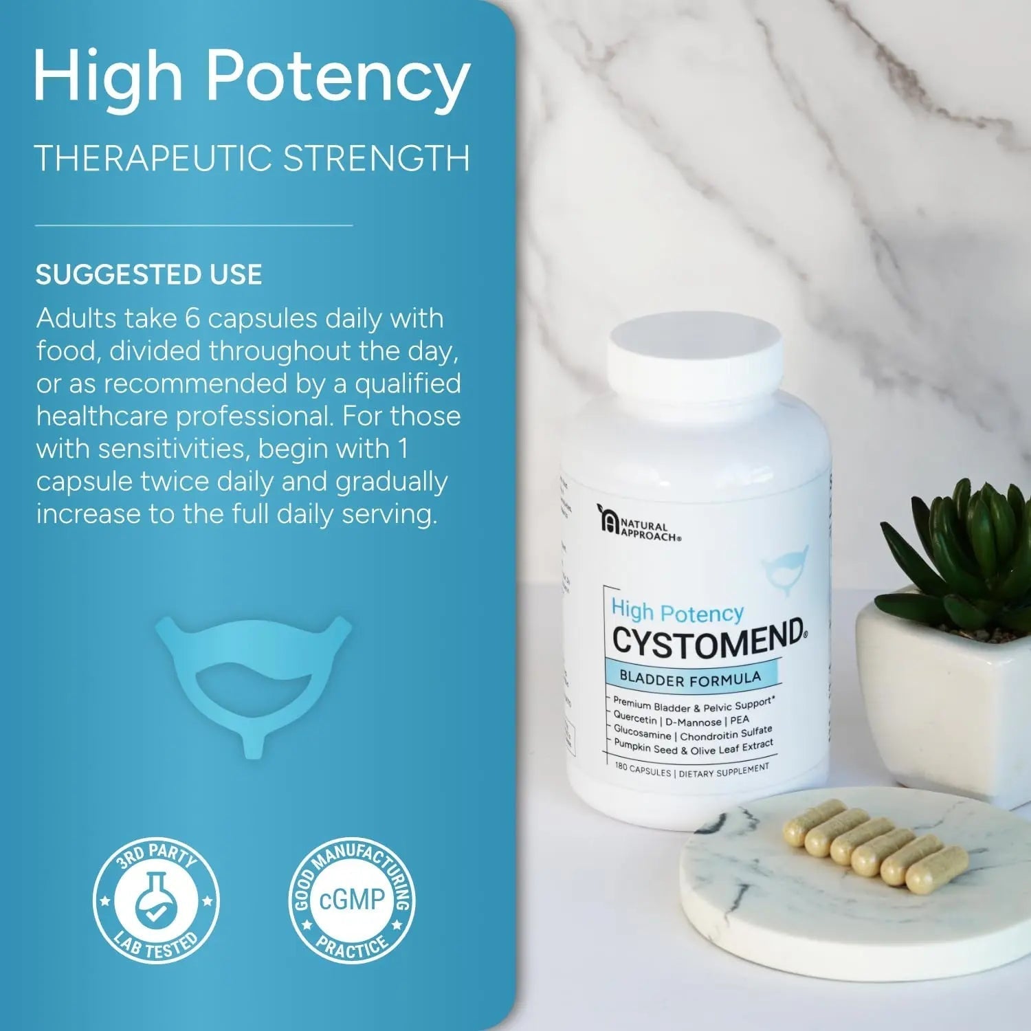 CystoMend Bladder & Pelvic Discomfort Formula (High Potency) - Supports Less Flares & Urgency* - Premium Bladder Support for Women & Men - USA Manufactured & Third-Party Tested - 180 Capsules CystoMendAu supplements