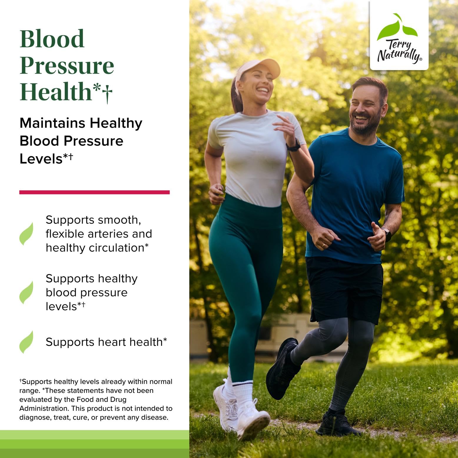 Terry Naturally Blood Pressure Health - Healthy Blood Flow & Circulation Support Supplement - Heart Health Supplement with Antioxidants - Cardiovascular Support - 60 Capsules Terry NaturallyAu supplements