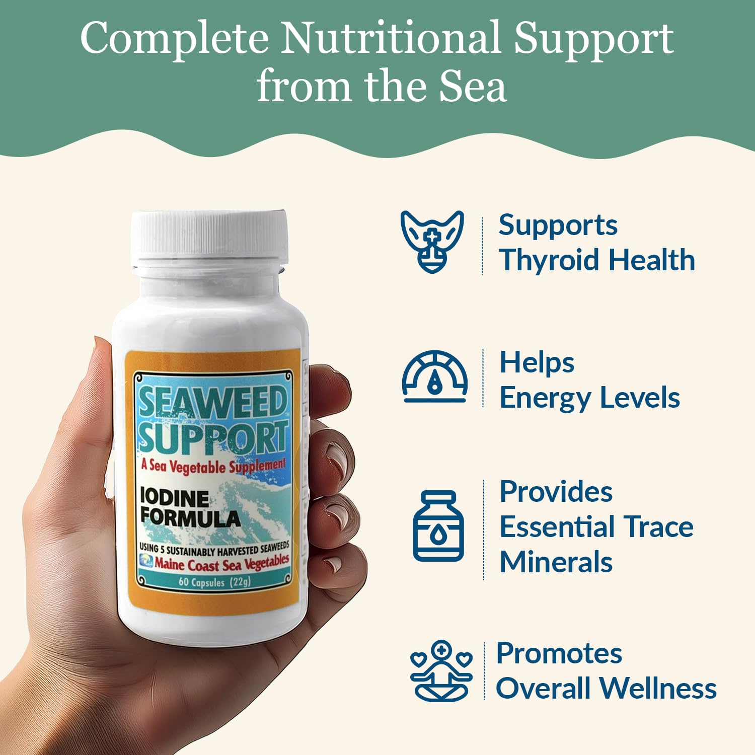 Maine Coast Sea Vegetables Seaweed Support Iodine Formula | Source of Iodine from Seaweed | Daily Use Iodine Supplement | Organic Alaria, Rockweed, Sea Lettuce, Dulse & Bladderwrack blend | 60 Capsule Maine Coast Sea VegetablesAu supplements
