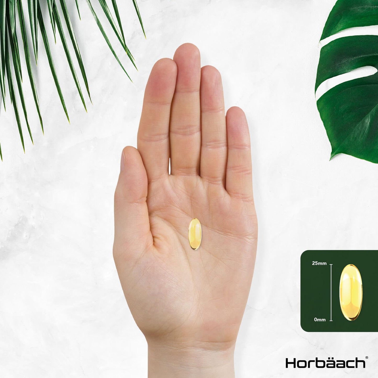 Triple Omega 3 6 9 Capsules | 180 Count | High Strength Supplement with DHA HorbäachUS supplements