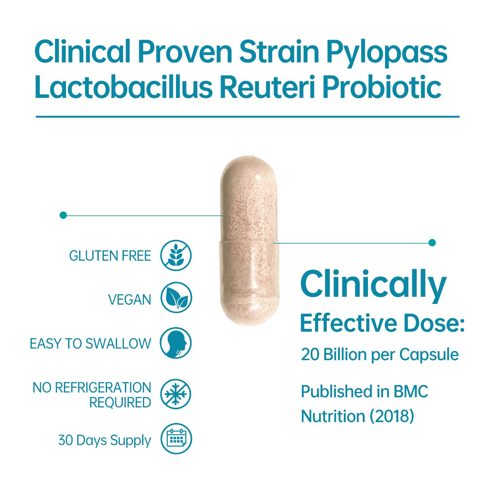 5-in-1 High Potency H. Pylori Probiotic, 1 Per Day - Supports Gastric Lining Integrity, Occasional Indigestion, Acid Comfort - Pylopass Lactobacillus Reuteri, Gluten Free, Vegan, 30ct, Made in Germany purmeoAu supplements