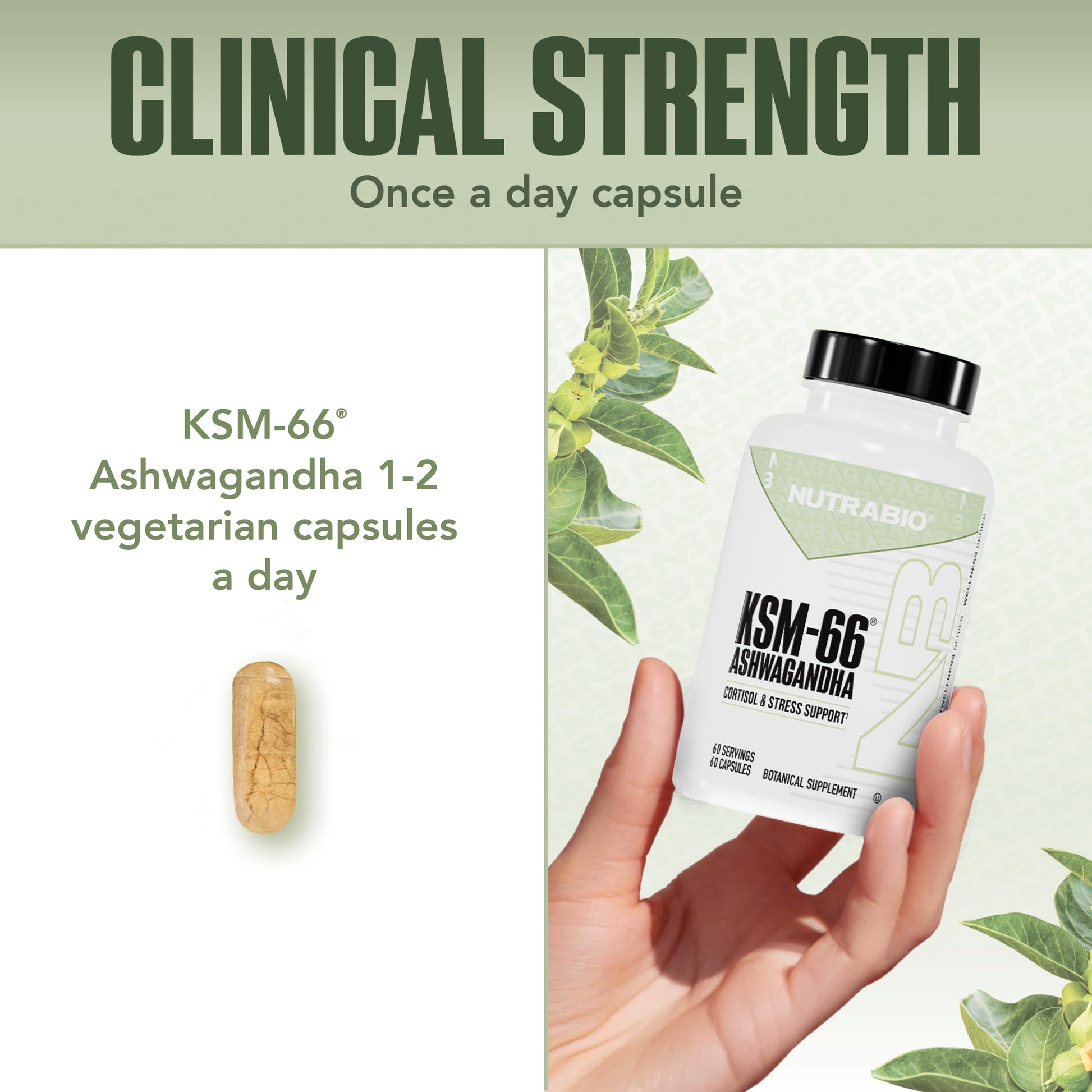 NutraBio Ashwagandha KSM-66 | Ashwagandha Herbal Supplement for Stress, Mood, & Performance | 600 MG of Clinically Studied KSM66 60 Capsules NutraBioAu supplements