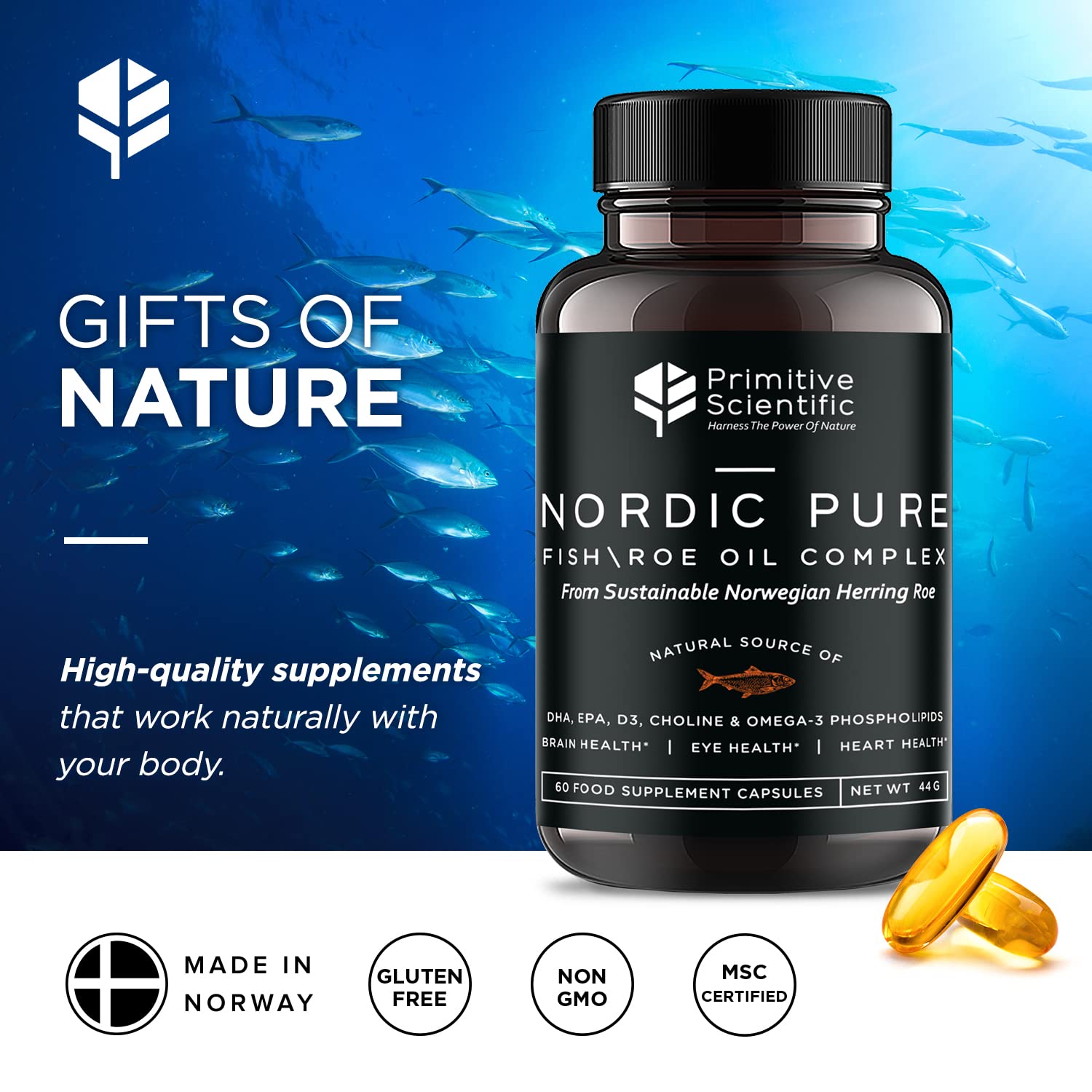 Primitive Scientific Nordic Pure Oil Complex (60 Fish Oil Capsules) for Brain, Immunity & Vision - Heart Supplement w/EPA, DHA, Vitamin D3, Choline - Omega 3 Supplements Primitive ScientificAu supplements
