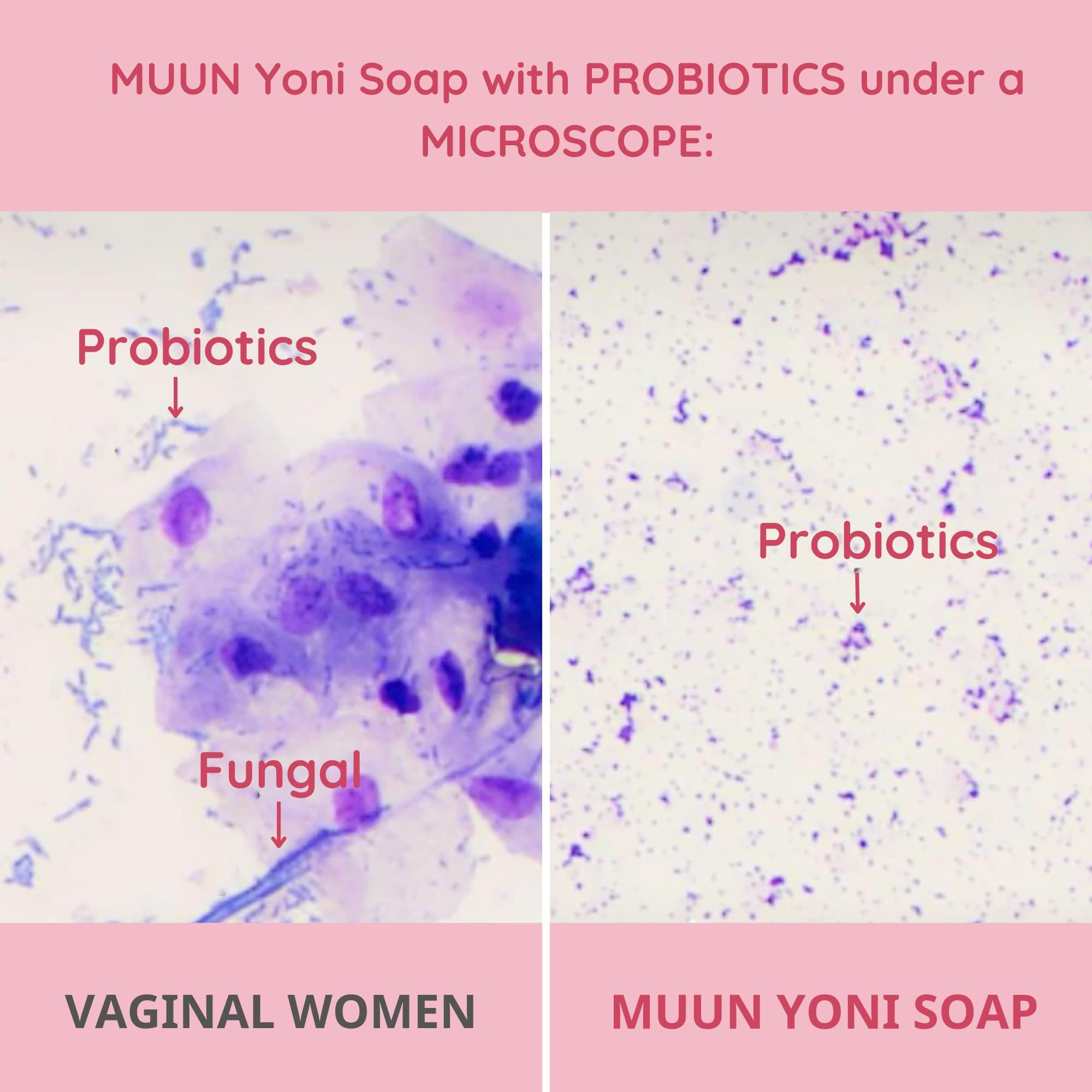 Muun Yoni Soap Bar - Pack 3 Ph Balance Probiotics & Natural Ingredients - Gentle Cleansing Formula MuunAu supplements
