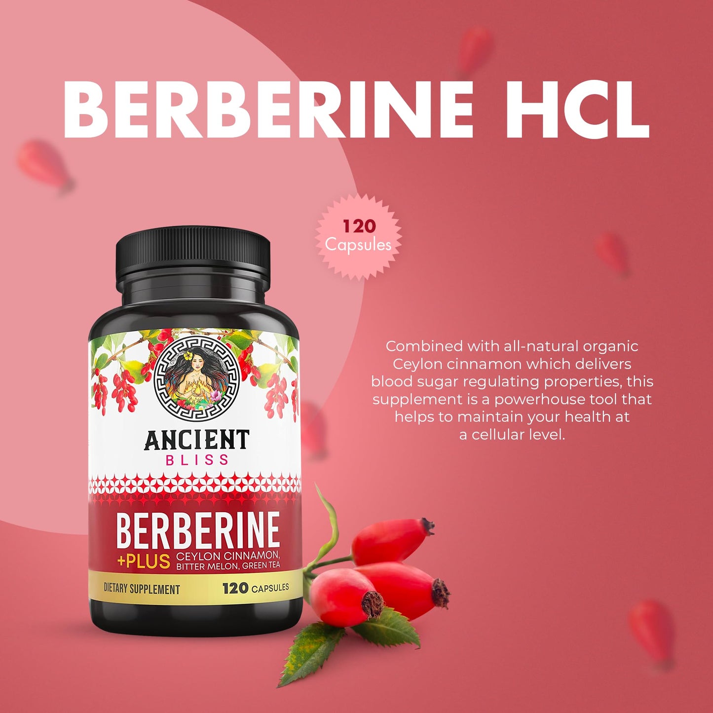 Ancient Bliss Berberine HCL 1200mg with Ceylon Cinnamon, Bitter Melon, and Green Tea Ancient BlissUS supplements