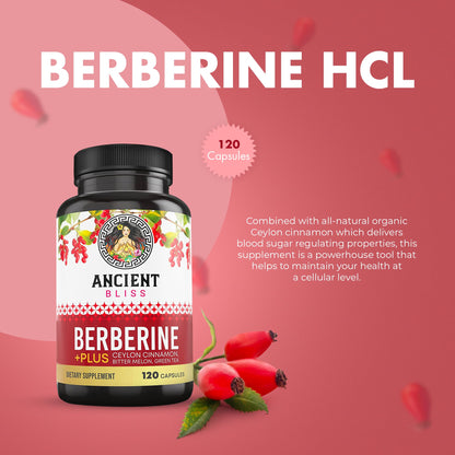 Ancient Bliss Berberine HCL 1200mg with Ceylon Cinnamon, Bitter Melon, and Green Tea Ancient BlissUS supplements