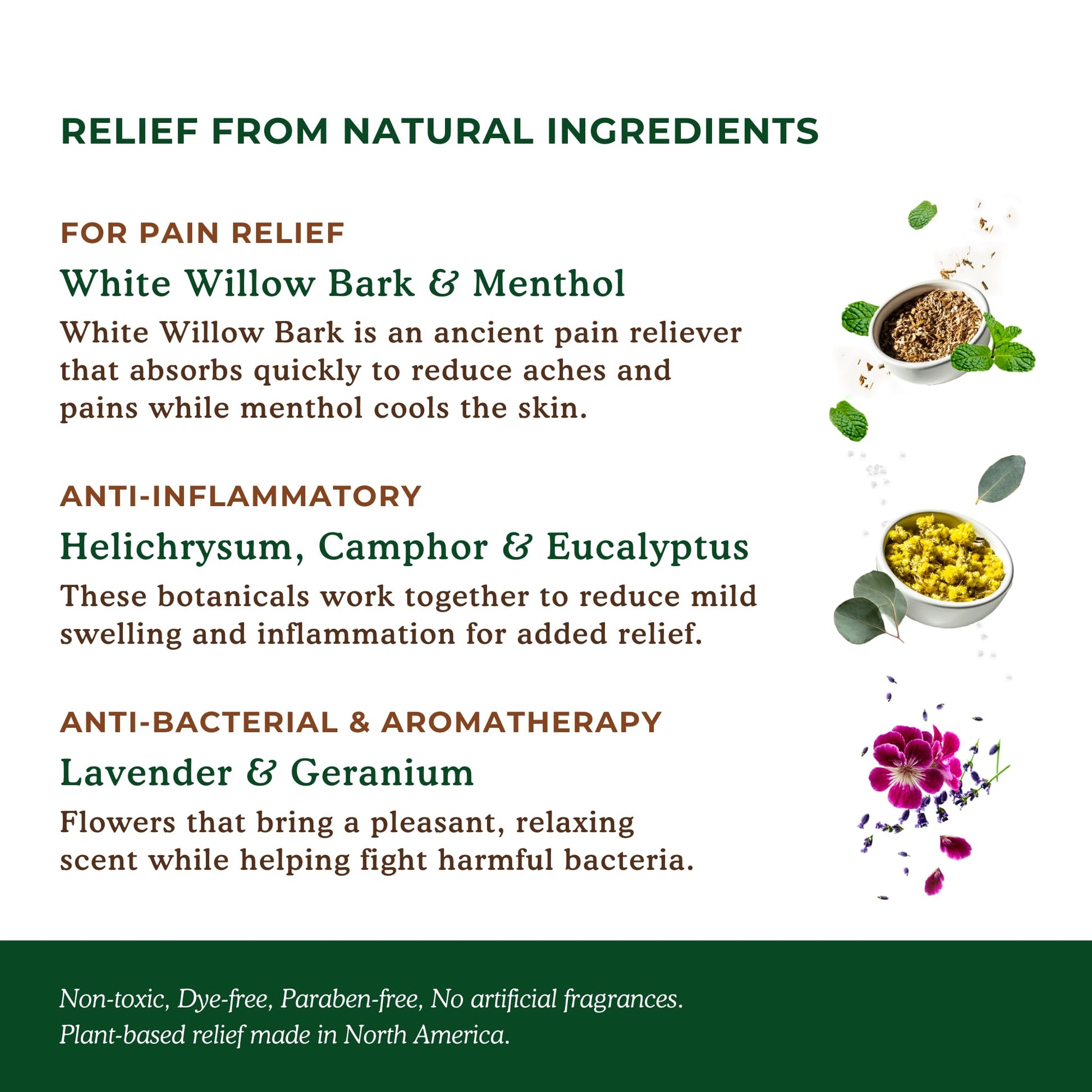 Nature's Willow Willow Balm Natural Pain Relief Cream for Muscles & Joints | Fast-Acting with Willow Bark & Menthol | Free from Artificial Fragrances & Dyes | 6-Pack | 3.5 fl oz Nature's WillowAu supplements