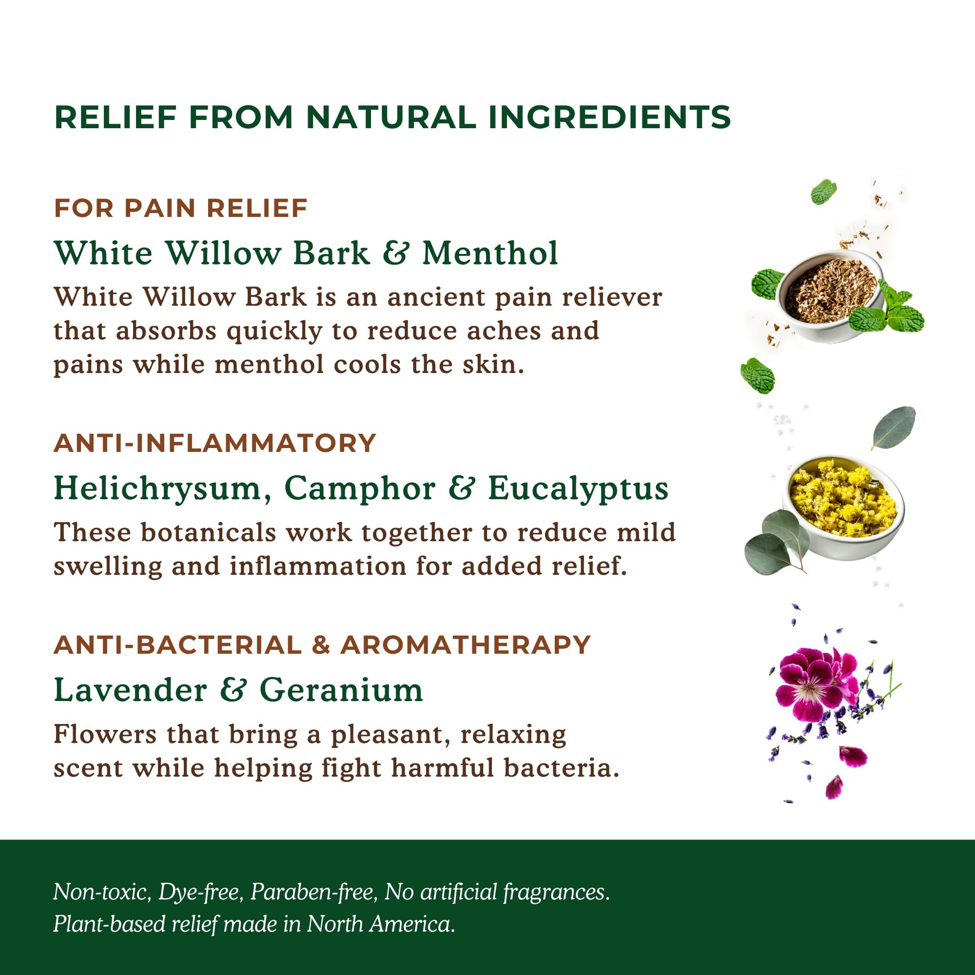 Nature's Willow Willow Balm Natural Pain Relief Cream for Muscles & Joints | Fast-Acting with Willow Bark & Menthol | Free from Artificial Fragrances & Dyes | 6-Pack | 3.5 fl oz Nature's WillowAu supplements