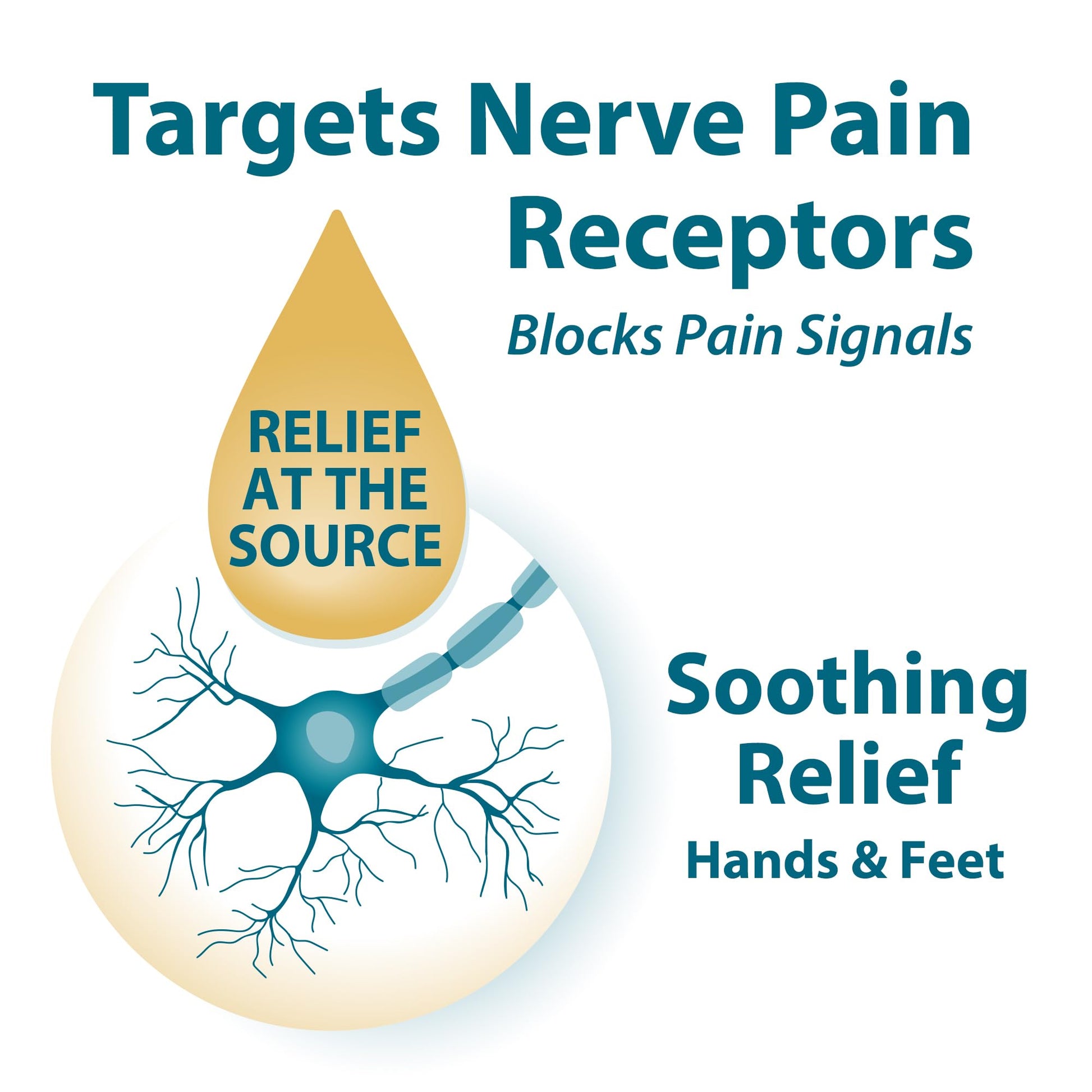 FRANKINCENSE & MYRRH Foot Pain Relief Cream - Intensive Foot Therapy Lotion - Diabetic Nerve Pain Relief Cream | Restless Leg Syndrome | Frankincense Essential Oil, 3 Ounce (2-Pack) FRANKINCENSE & MYRRHAu supplements