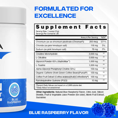 XEELA Organic Pre Workout Powder: Clean Preworkout for Men & Women, with Flavored XEELAUS supplements