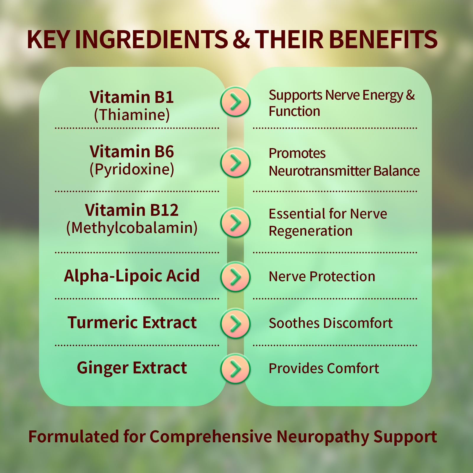 Sugar Free Neuropathy Support Gummies for Nerve – Enhanced Nerve Health, Regeneration, Cognitive Support with Vitamin B1, B6, B12, Magnesium, ALA, Turmeric, CoQ10 & More WarmbioderAu supplements