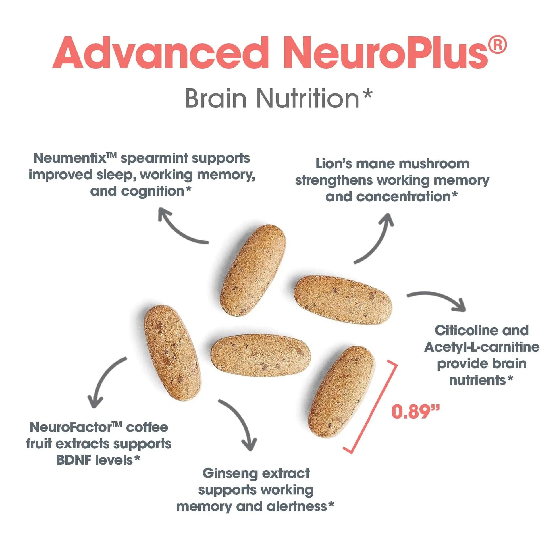 Allergy Research Group Advanced NeuroPlus - Nootropic Formula with Spearmint Extract, Lions Mane & Citicoline - Supports Working Memory Focus & Cognitive Function - 30 Servings - 90 Tablets Allergy Research Groupnz supplements