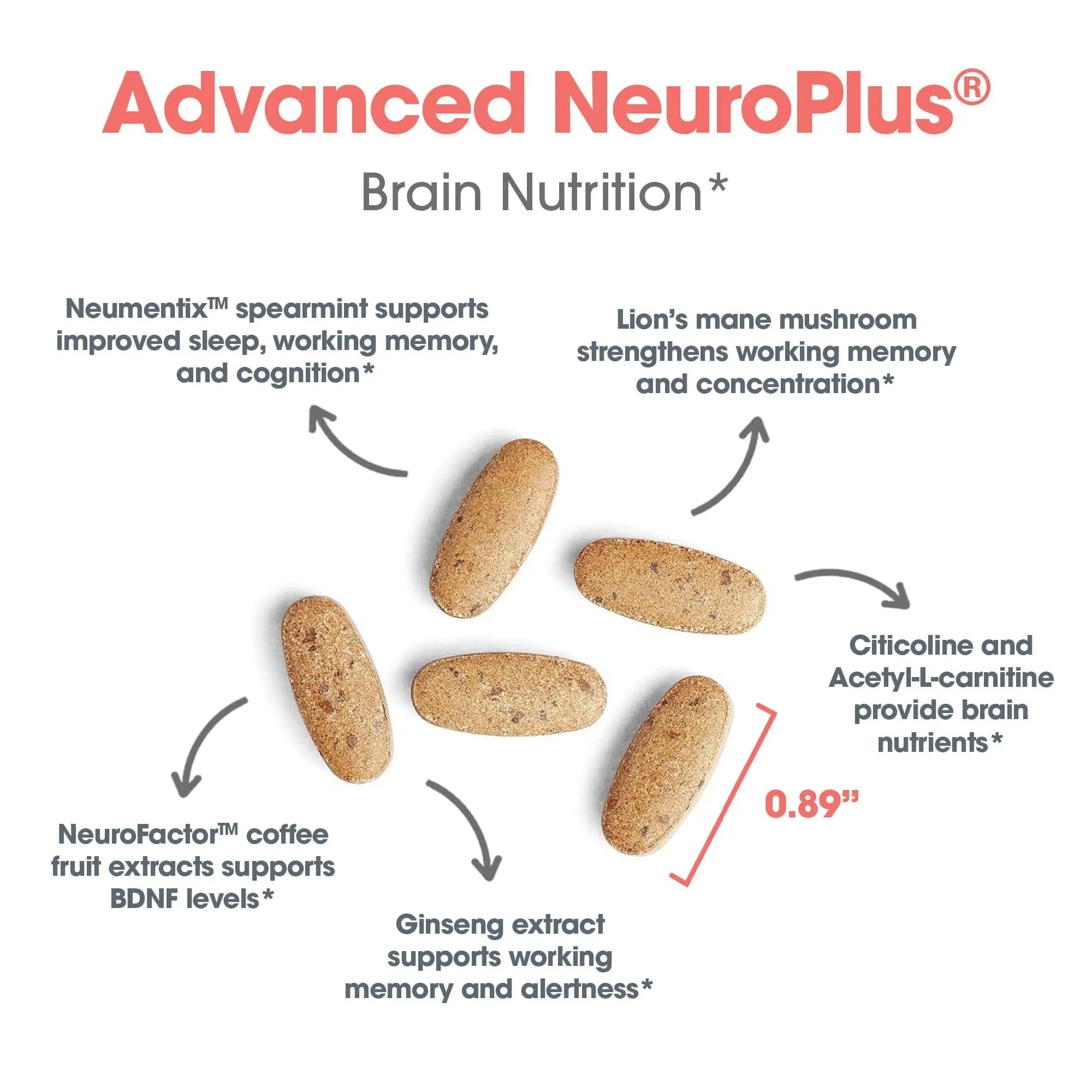 Allergy Research Group Advanced NeuroPlus - Nootropic Formula with Spearmint Extract, Lions Mane & Citicoline - Supports Working Memory Focus & Cognitive Function - 30 Servings - 90 Tablets Allergy Research Groupnz supplements