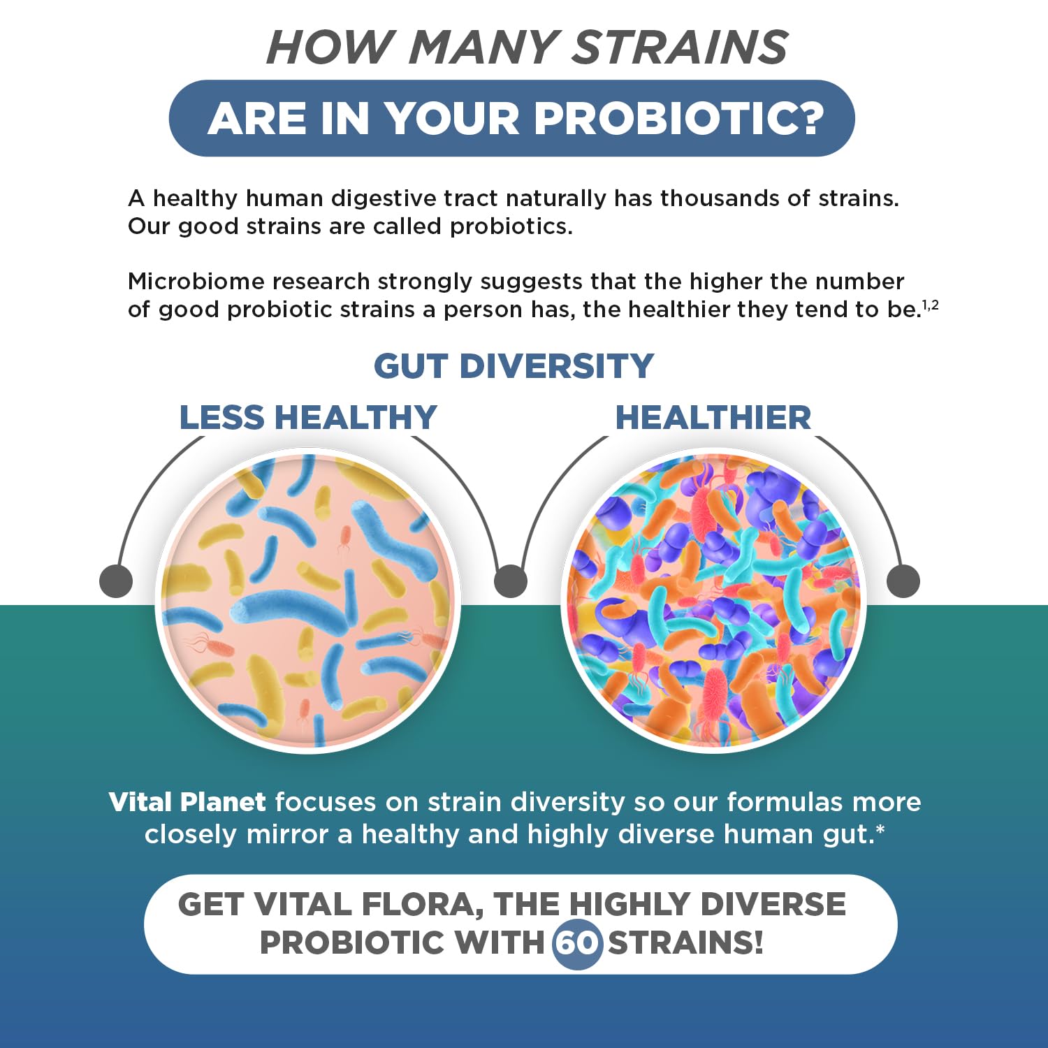 Vital Planet - Vital Flora Ultra Daily Probiotic 60 Billion CFU, Diverse Strains, Organic Prebiotics, Immune Support, Bloating Relief, Digestive Health Probiotics for Women and Men 60 Capsules Vital PlanetAu supplements