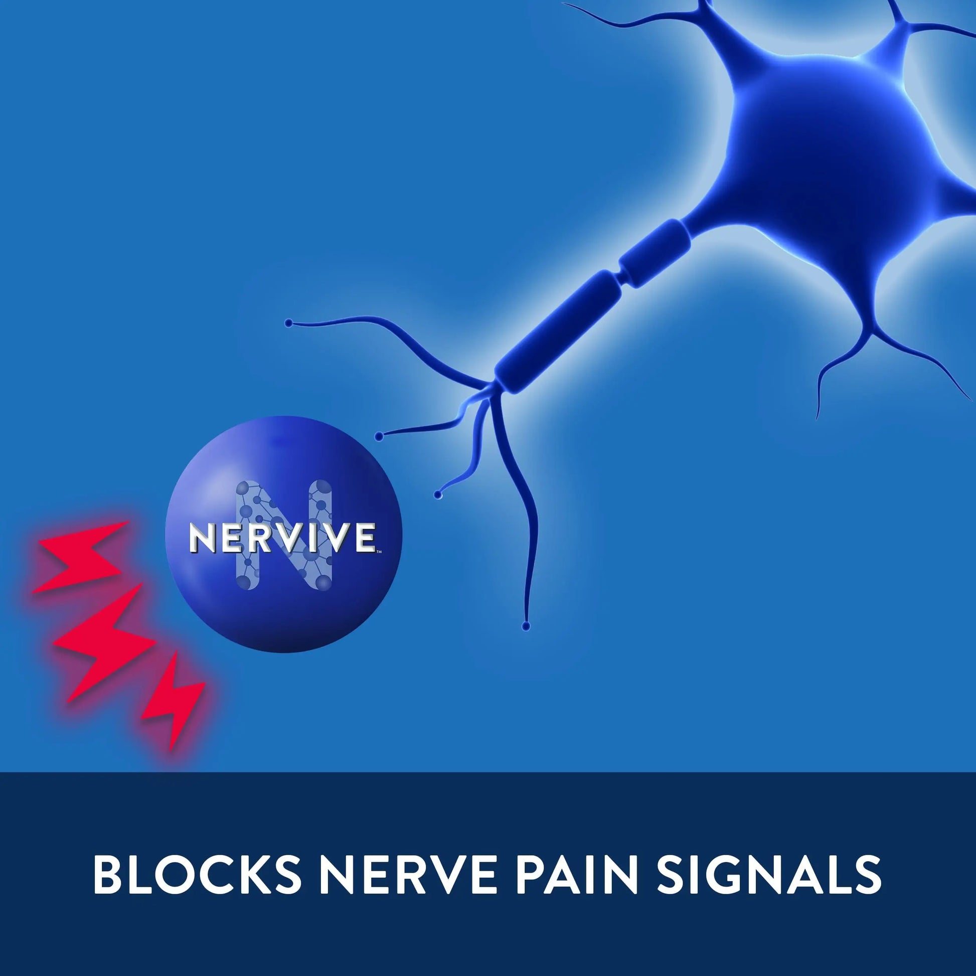 Nervive Pain Relieving Spray, Lidocaine Spray, Nervive Pain Relief, Lidocaine Topical, Foot Pain, Leg Pain, Hand Pain, Max Strength Formula, for Hard to Reach Areas, 4.5oz NerviveAu supplements