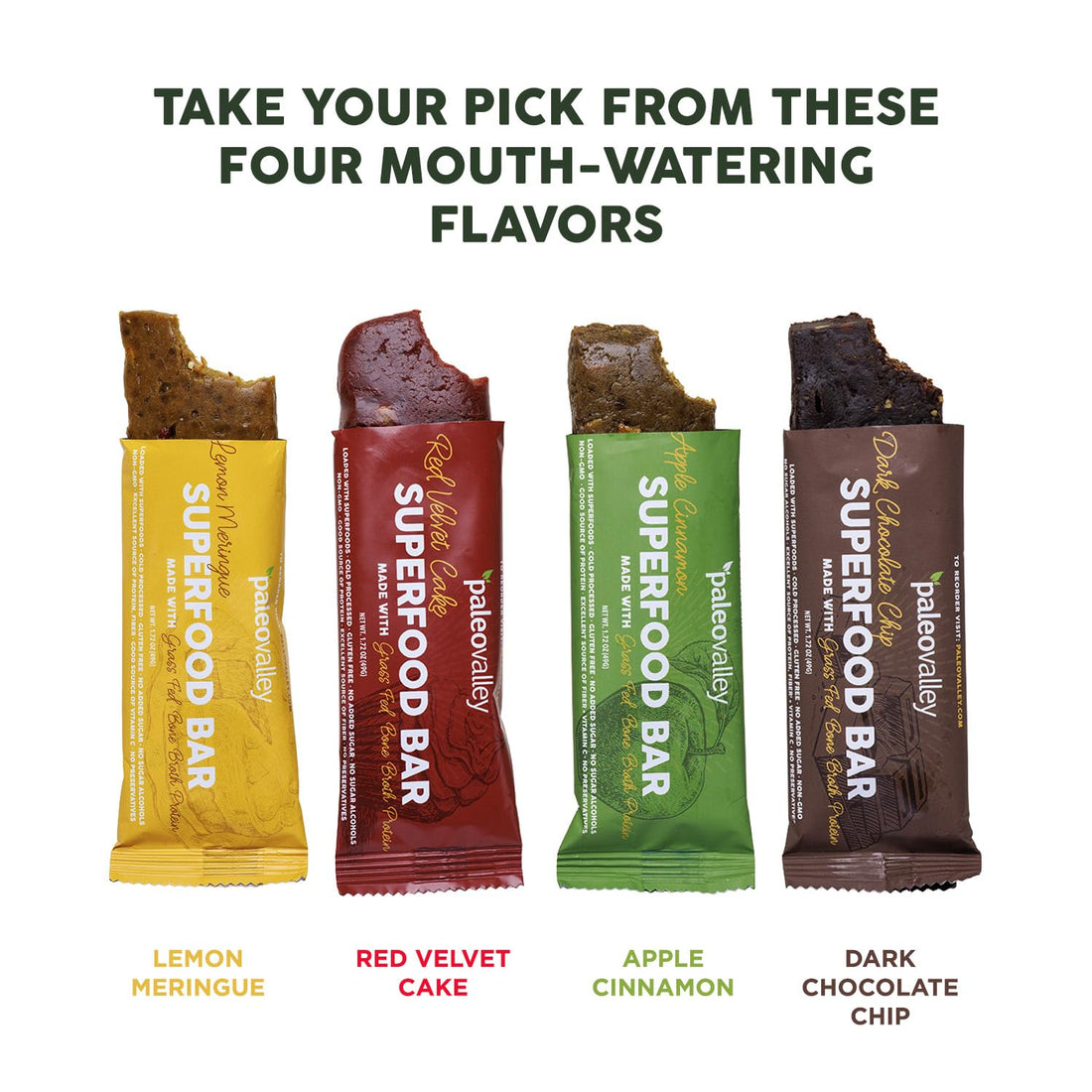 Paleovalley Superfood Bars – Apple Cinnamon– 10 Pack – 9g Protein per Bar – Gluten-Free, Grain-Free, Paleo, Non-GMO – On-the-Go Snack PaleovalleyUS supplements
