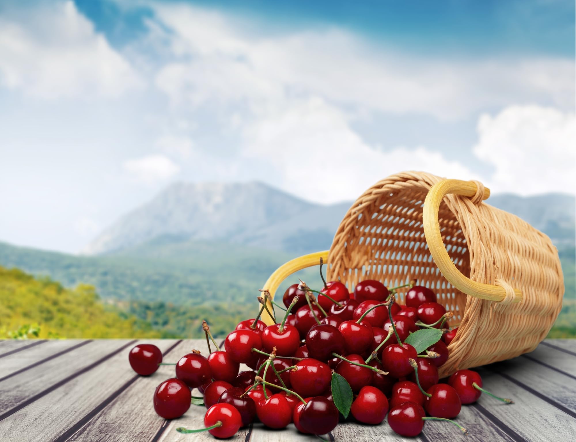 Gout and You Tart Cherry Extract | 3000 mg Per Serving | 90 Vegetarian Capsules | Gluten-Free Gout and YouAu supplements