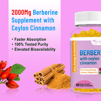 2 Pack Berberine with Ceylon Cinnamon Gummies, 2000mg High Potency Berberine HCI VZOXAINSUS supplements
