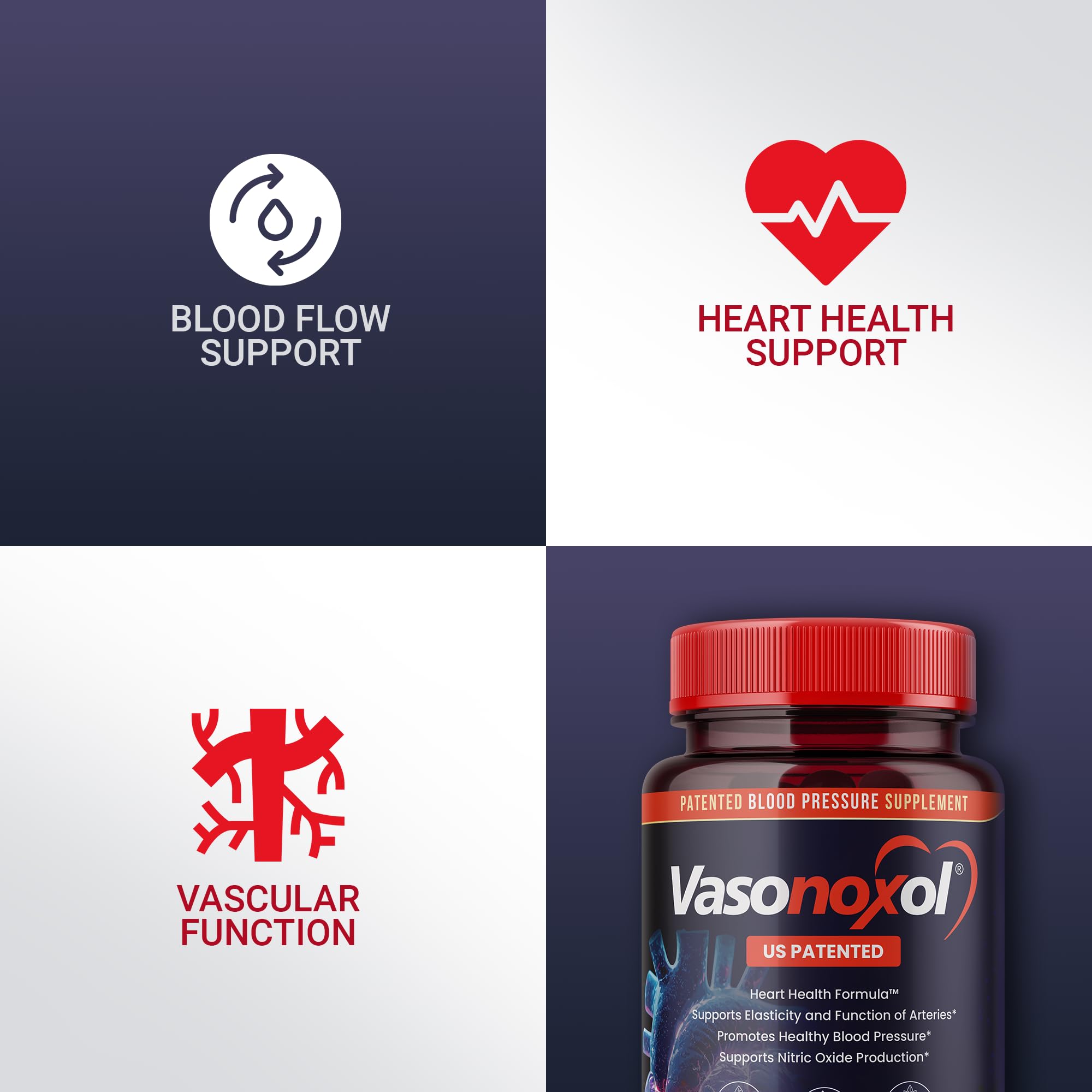 Vasonoxol U.S. Patented Nitric Oxide Supplement for Blood Pressure Support 2880mg - Physician Formulated Vascular Health Formula with L-Arginine & L-Citrulline - Vegan, Non-GMO (120 Capsules) PanoxolAu supplements