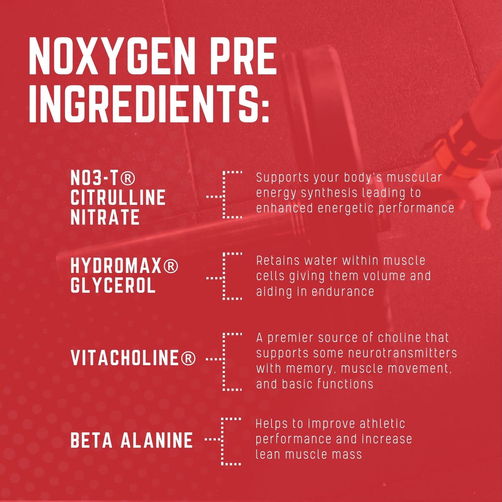 Purus Labs NOXYGEN PREWORKOUT Powder, 30 Servings (Gummy Bear) Purus LabsAu supplements