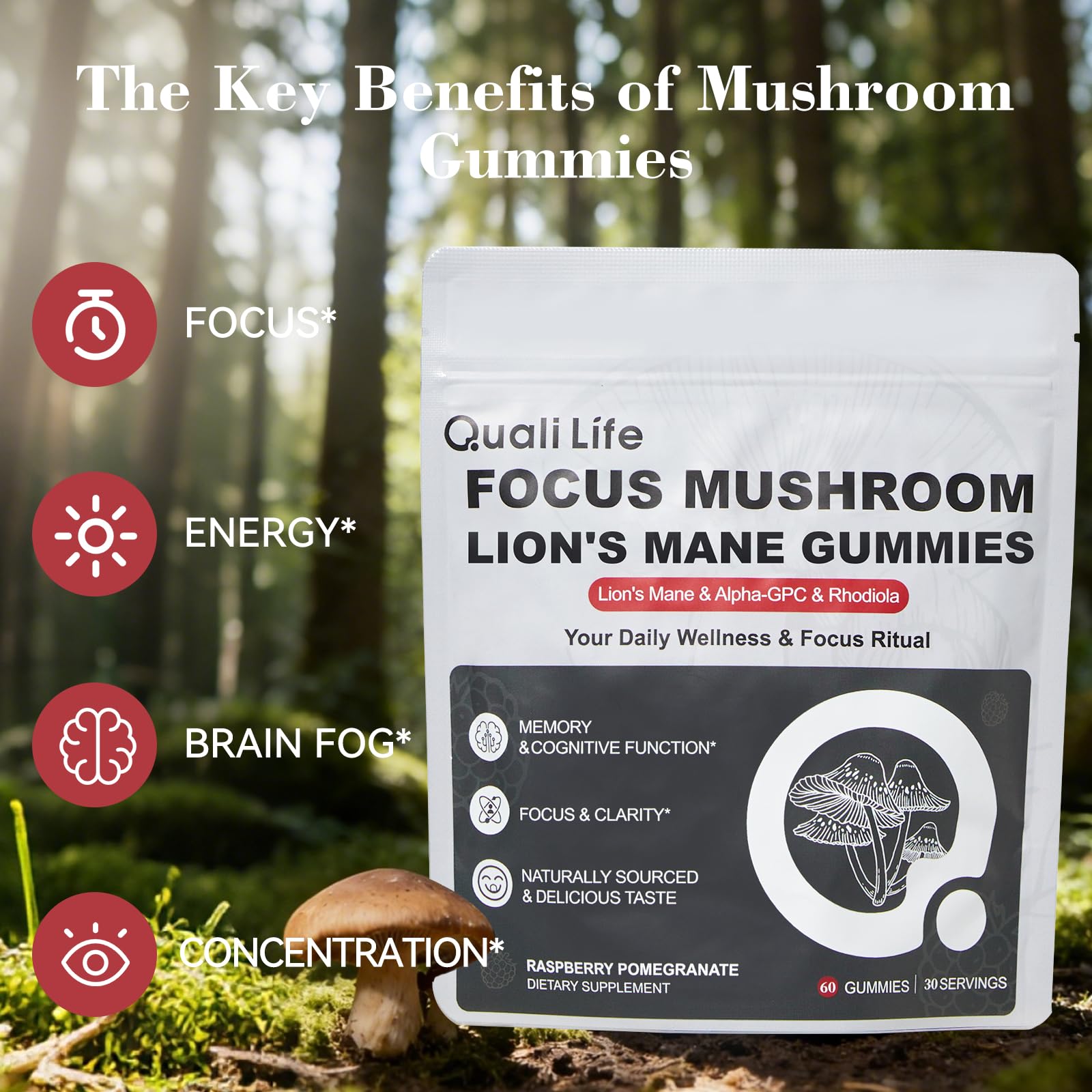 Mushroom Gummies with Lion’s Mane - Alpha Brain Gummy for Focus & Memory - Nootropic Focus Gummies with Rhodiola & Alpha-GPC – Vegan Brain Supplement, Raspberry Pomegranate Flavor, 60 Count (1) QualiLifeAu supplements