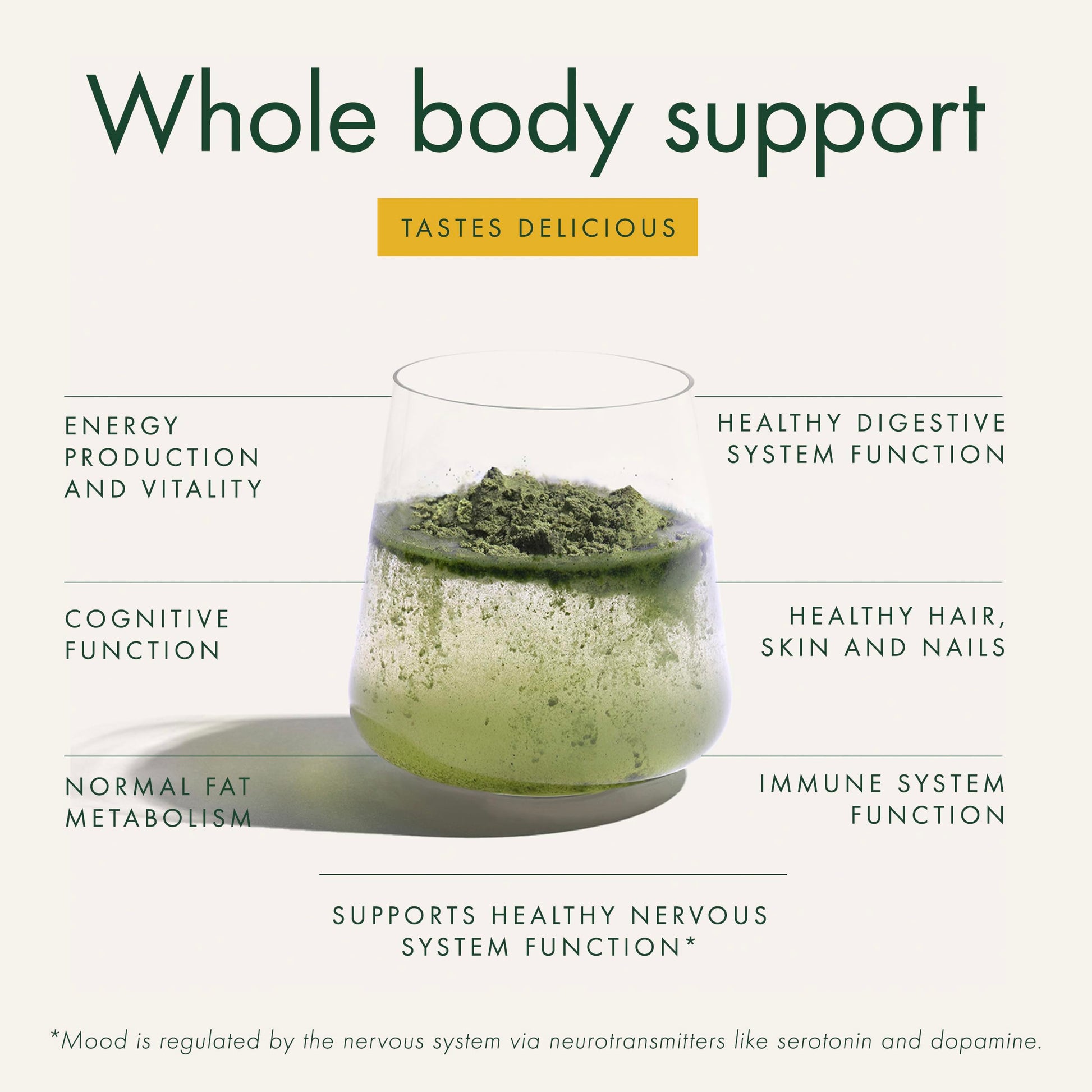 WelleCo The Super Elixir Daily Greens Powder, Probiotic Drink Mix with Whole Foods, Gluten Free, Vegan Gut Health Powder, Energy, Immunity, Healthy Skin, Hair & Nails (300g, Lemon Ginger) WelleCoAu supplements