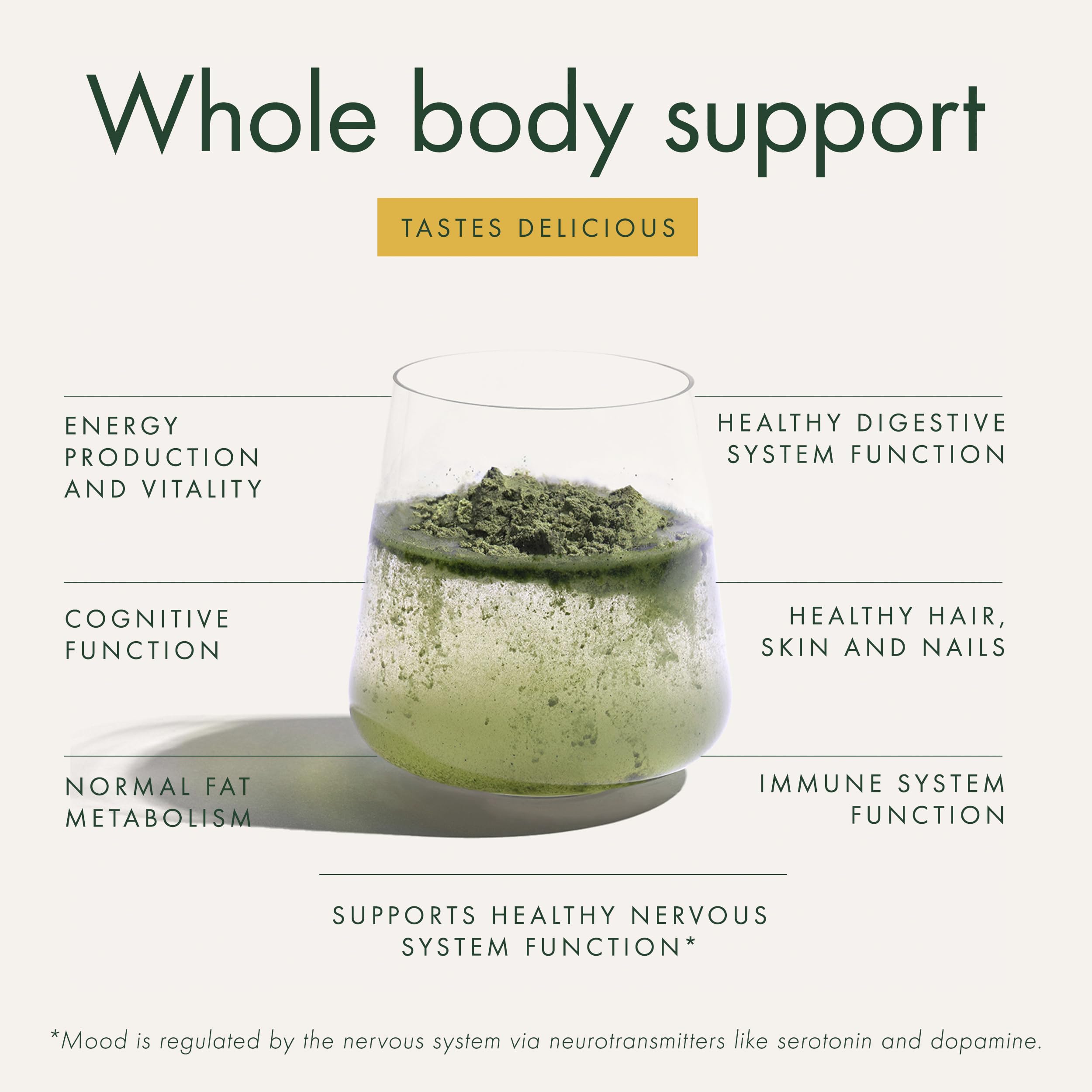 WelleCo The Super Elixir Daily Greens Powder, Probiotic Drink Mix with Whole Foods, Gluten Free, Vegan Gut Health Powder, Energy, Immunity, Healthy Skin, Hair & Nails (300g, Lemon Ginger) WelleCoAu supplements