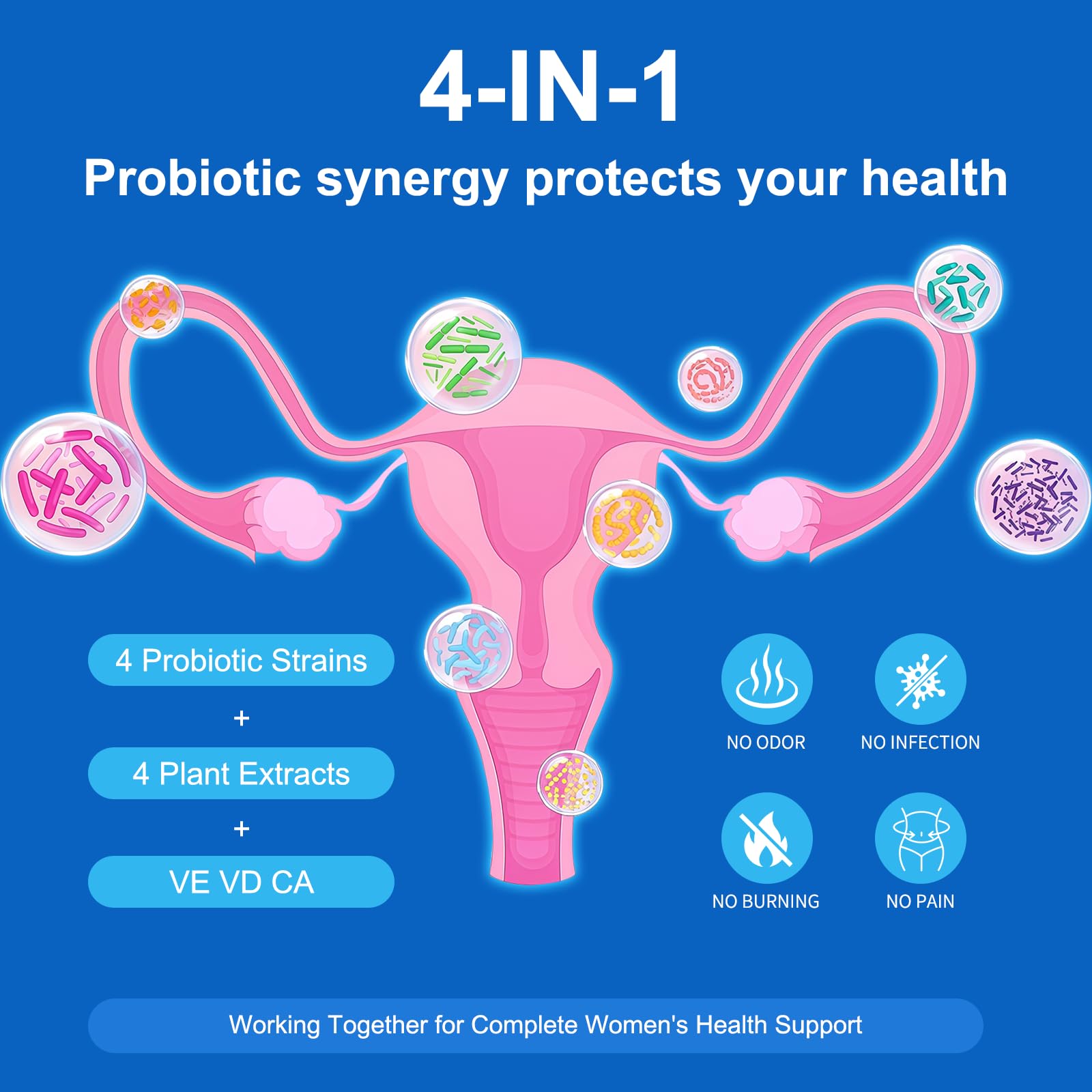 Natprime Menopause Supplements for Women - 60 Billion CFU Akkermansia Probiotic for Hormonal Balance, Night Sweats, Hot Flashes Relief, Gut Health, Mood Support & URO Viginal probiotic - 60 Ct 30 Day NatprimeAu supplements