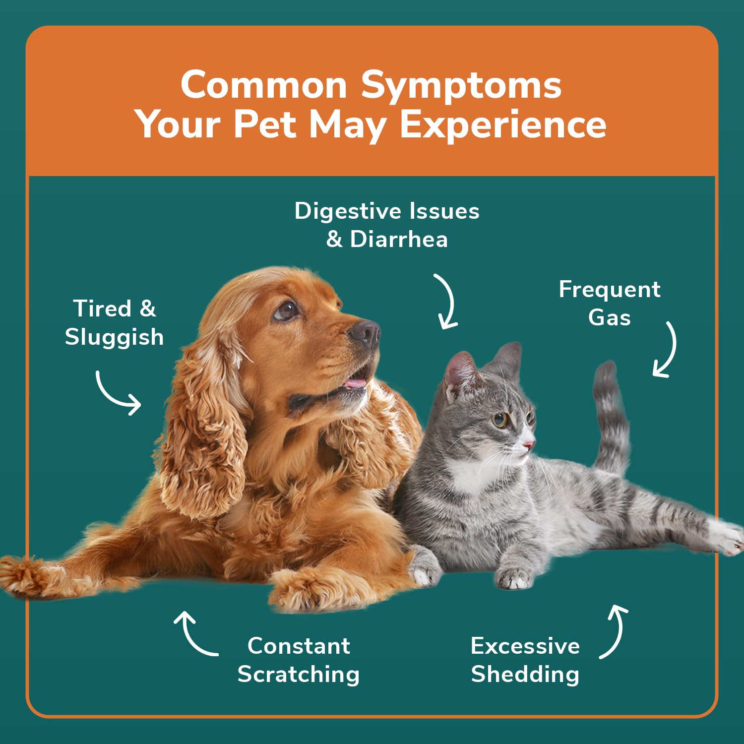 TotalVet Dog Allergy +1000 Food & Nutritional Sensitivity Test, Pet Intolerance Kit at Home — Advanced Complement to DNA Tests for Complete Pet Wellness TotalVetAu supplements
