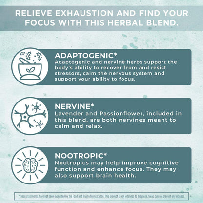 MaryRuth Organics Nootropic Focus Supplement for Adults | USDA Organic | Ginkgo Biloba MaryRuth OrganicsUS supplements