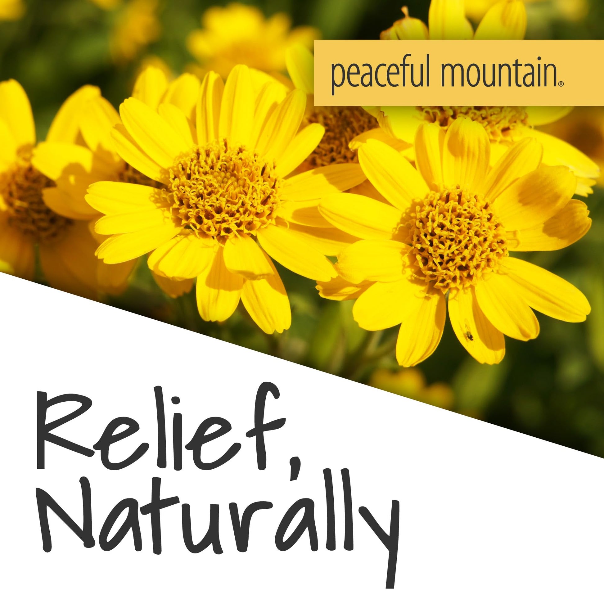 Peaceful Mountain Arnica Plus Homeopathic Gel - Natural Homeopthic Gel for Sore or cramping Muscles - 2oz Peaceful MountainAu supplements