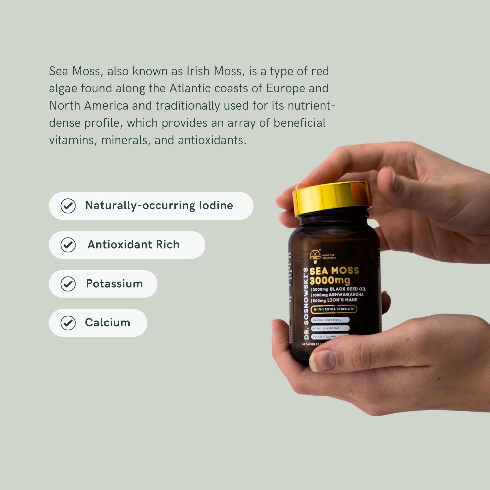 Dr Sosnowski's BioActive Sea Moss | 8-in-1 Formula Enriched with Black Seed, Ashwagandha, Turmeric, Manuka Honey, Lion's Mane, Royal Jelly, Bee Propolis Extract | 60 Capsules Dr Sosnowski'sAu supplements