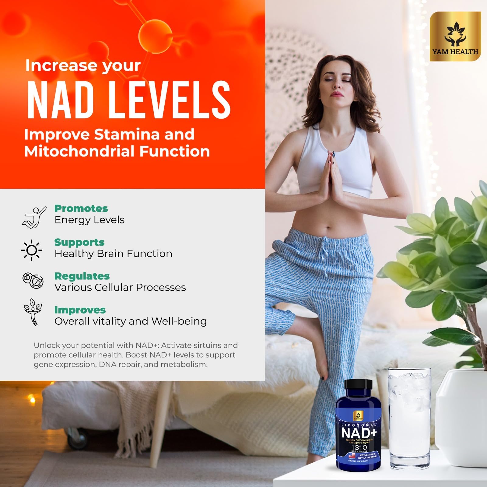 YAM Health Liposomal NAD Nicotinamide Riboside Equivalent with Trans-Resveratrol 300mg, Premium Halal NAD Supplement for Energy Metabolism, DNA Repair and Longevity, Vegan, Non-GMO (60 Count) YAM HealthAu supplements