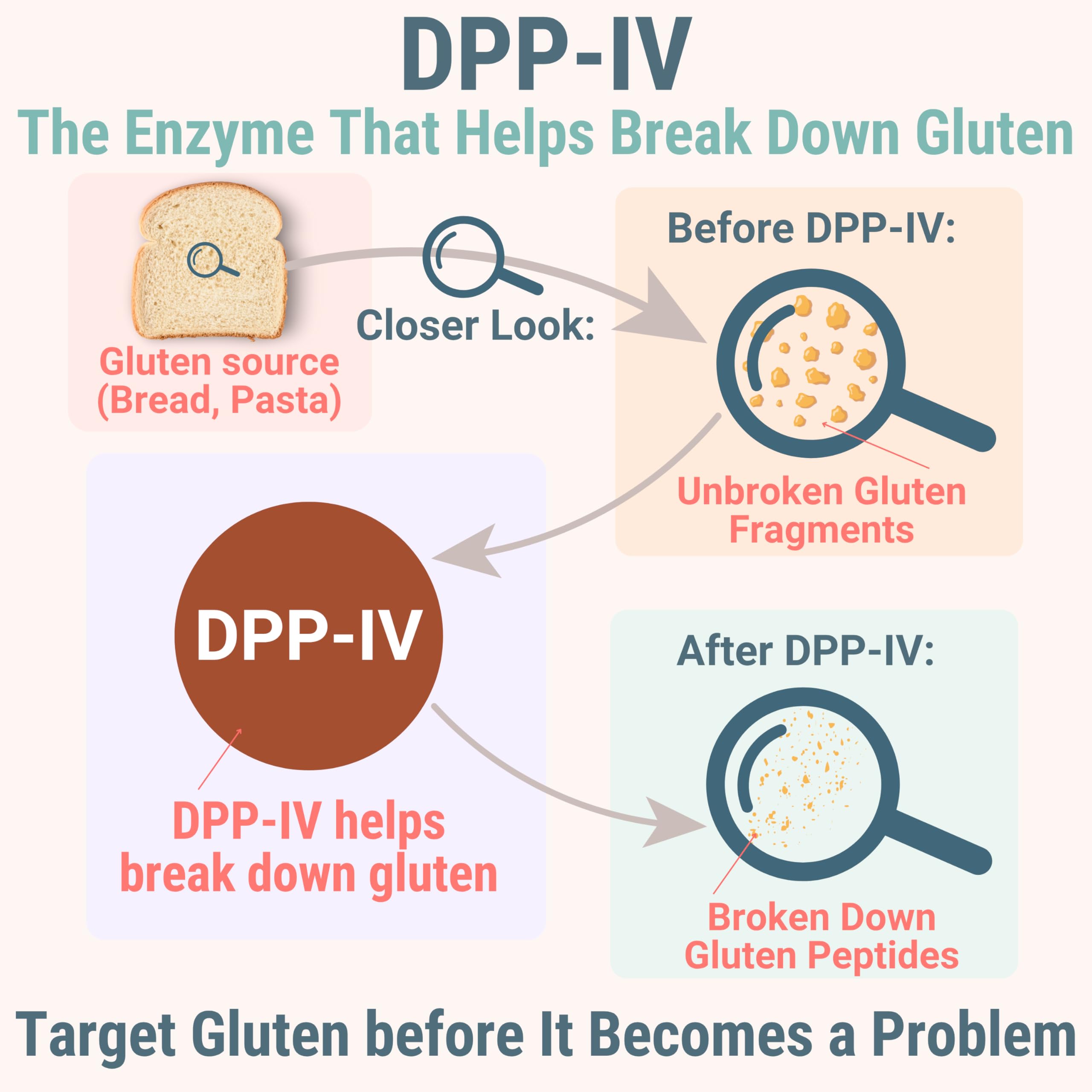Gluten & Lactase Digestive Enzyme Gummies – Lactase Pancreatic Enzymes with DPP‑IV Lipase Gluco‑Amylase Lactase, Drops Chewables Capsules Pills Powder Supplement Alt, Pancreatic Support, for Kids SHIZAMAu supplements