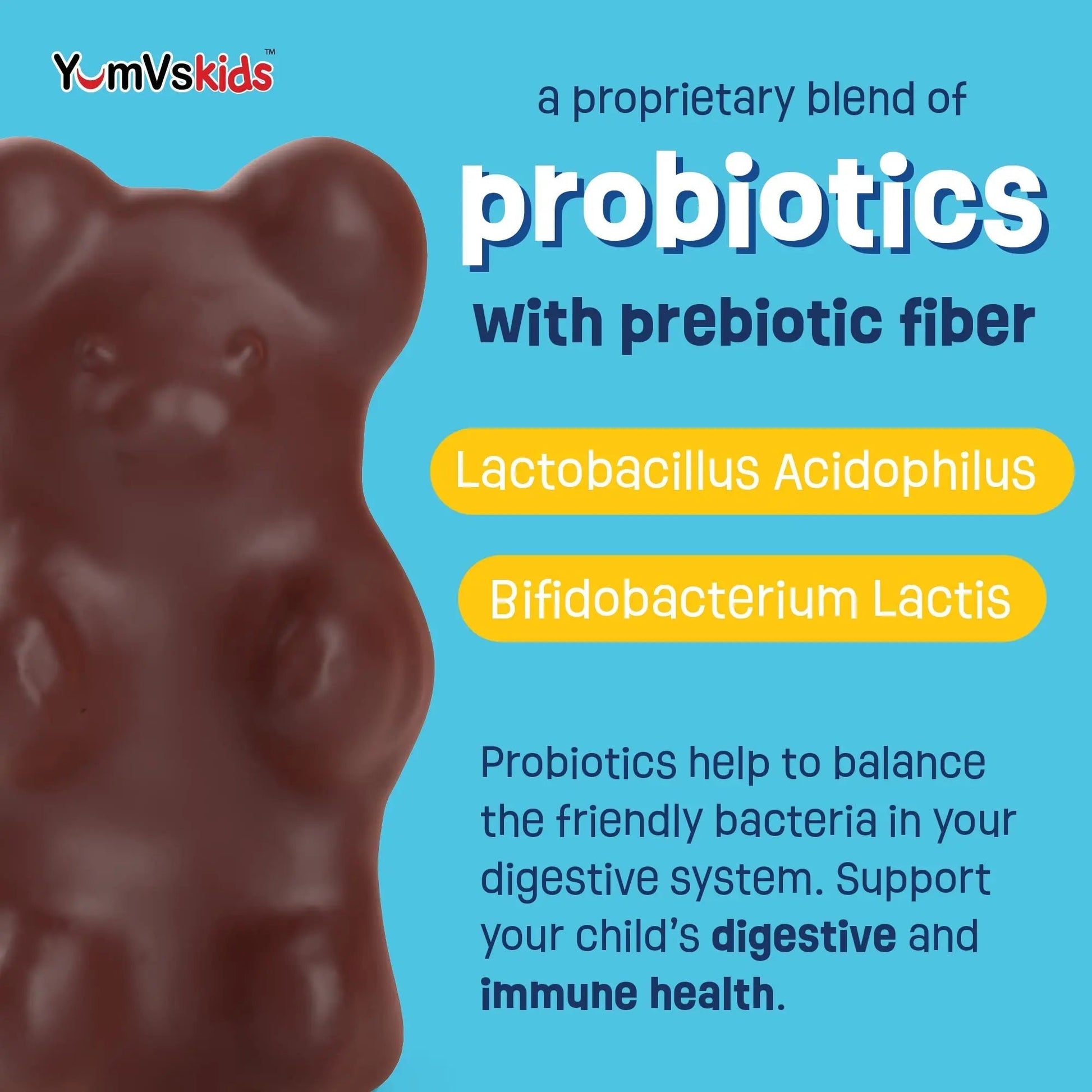 YUM-V'S Probiotics & Multivitamin Bundle for Kids – Probiotic with Prebiotic Fiber Chocolate Bears + Multivitamin & Multimineral with Iron Chewables – Digestive, Immune & Overall Health Support YUM-V'SAu supplements