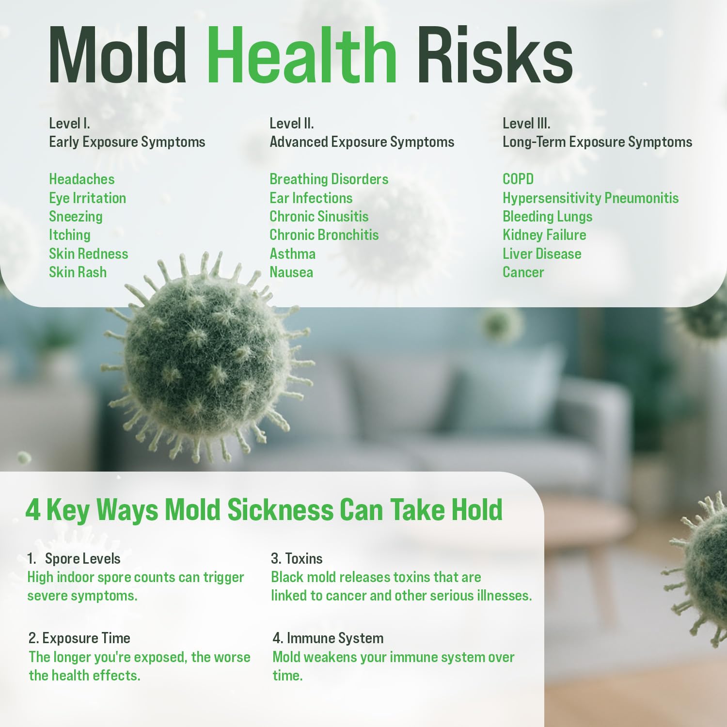 Microbial Mold Test Kit for Home - Indoor Air Quality and Surface Testing - Detects Black Mold, Mildew, and Fungi - Air and Surface Mold Detection Kit with Lab Analysis Included MICROBIAL MAINTENANCEAu supplements