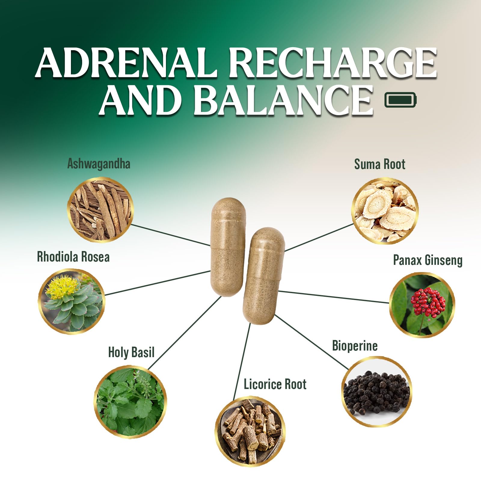 Nature's Nutrition Adrenal Support Supplements Cortex Complex, Best Energy Supplement, Supports Health & Energy Levels, Daily Ashwagandha for Women & Men, Supports Immune System, 120 Capsules Nature's NutritionAu supplements