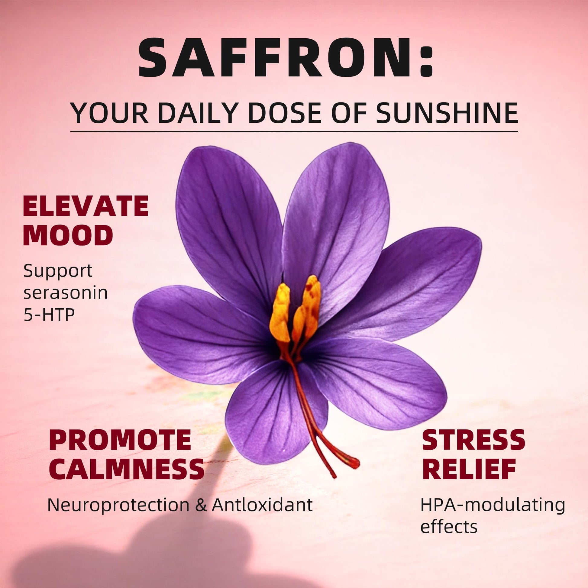 GREENPEOPLE Saffron Extract Supplements Drop - 24-in-1 88.5mg Saffron Extract with Ashwagandha,Black Cohosh & Lion's Mane for Mood&Focus,Stress Relief,Cortisol Reducer,Menopause – Vegan 2FL OZ GREENPEOPLEAu supplements