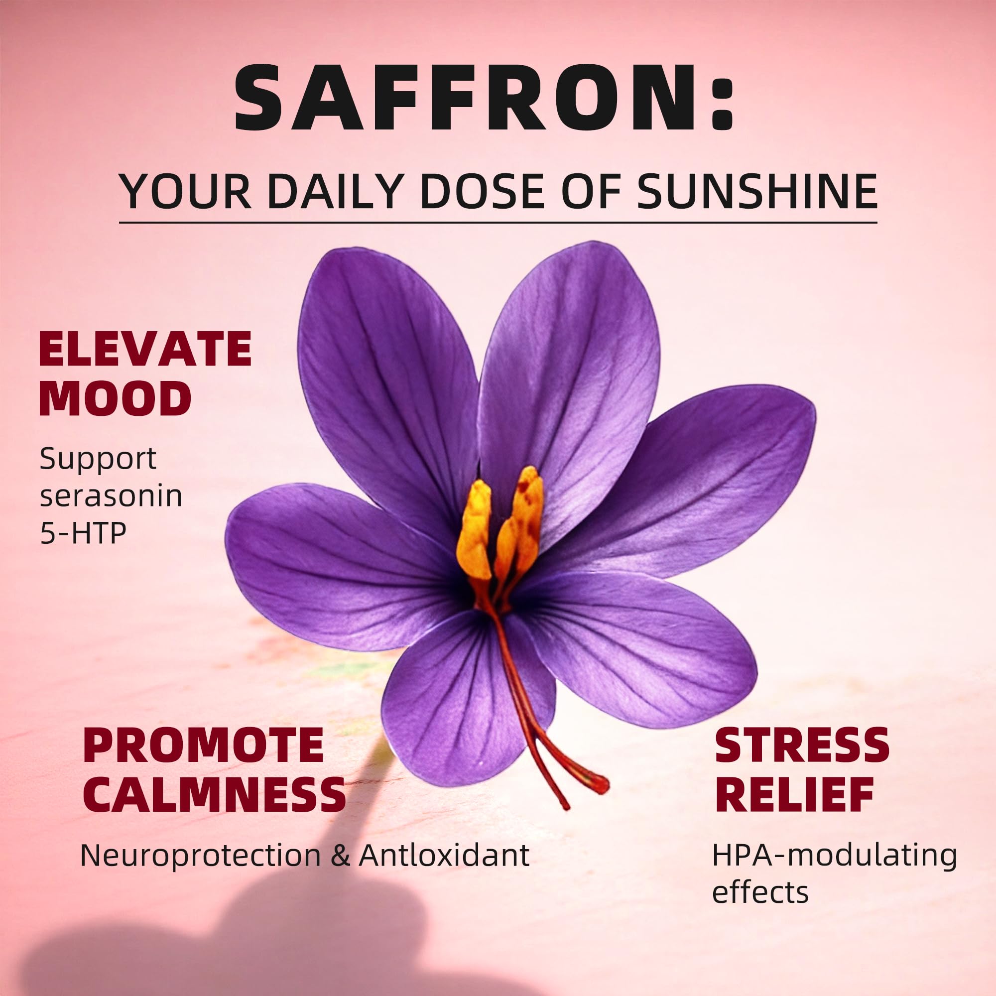 GREENPEOPLE Saffron Extract Supplements Drop - 24-in-1 88.5mg Saffron Extract with Ashwagandha,Black Cohosh & Lion's Mane for Mood&Focus,Stress Relief,Cortisol Reducer,Menopause – Vegan 2FL OZ GREENPEOPLEAu supplements