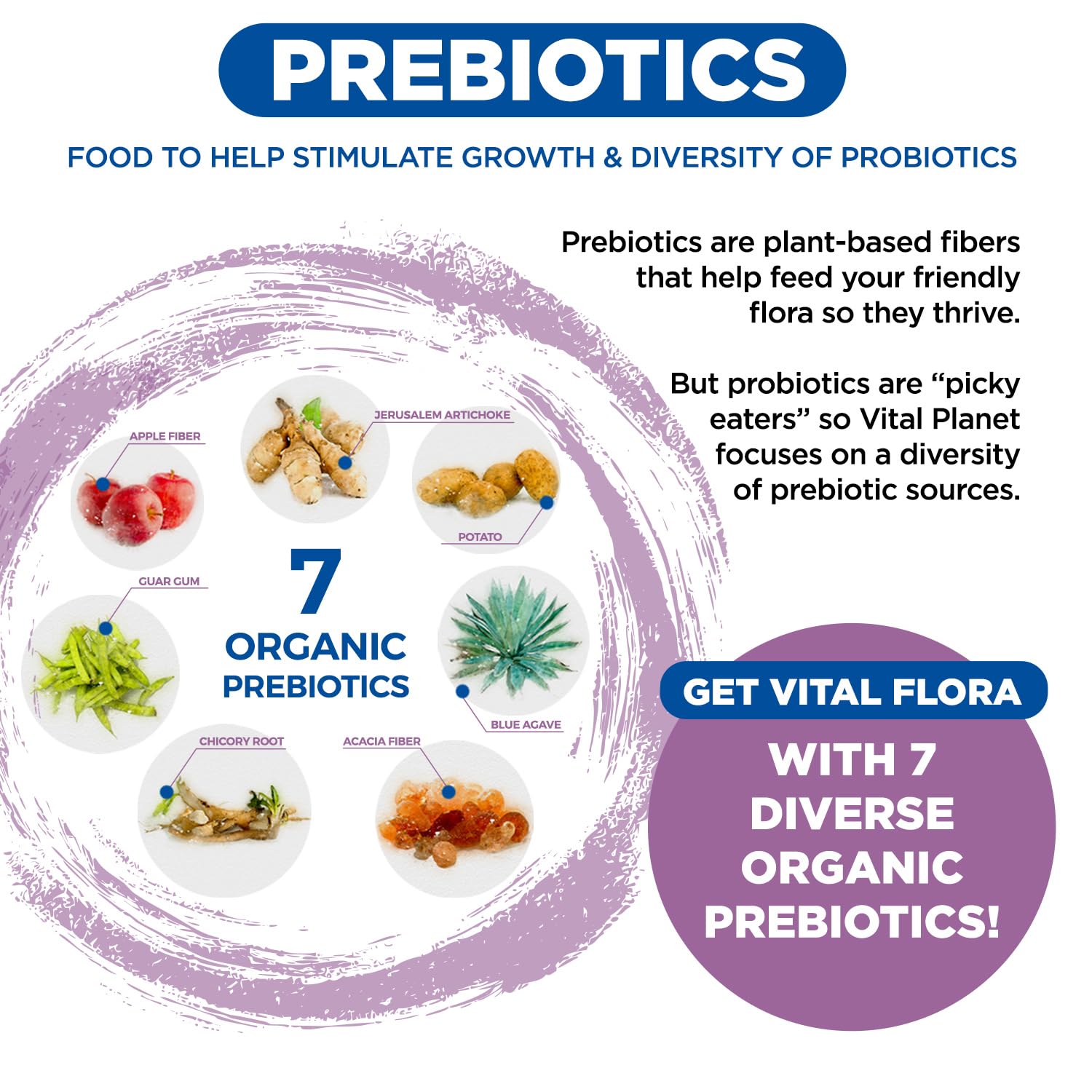 Vital Planet - Vital Flora Women’s Daily Probiotic 60 Billion CFU, 60 Diverse Strains, 7 Organic Prebiotics, Vaginal and Immune Support, Bloating, Digestive Health Probiotics for Women 30 Capsules Vital PlanetAu supplements