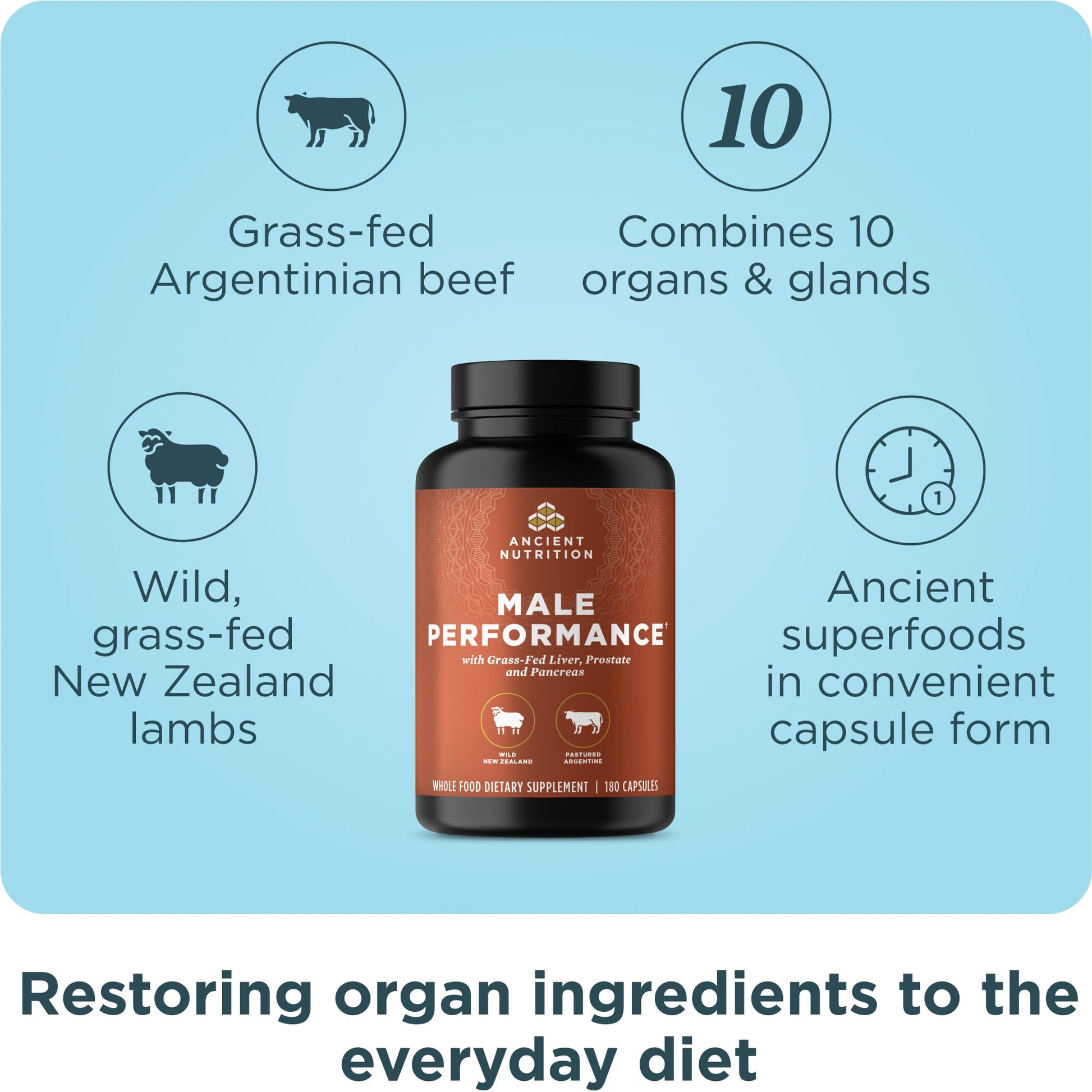 Ancient Nutrition Organ Supplements for Men, Grass-Fed and Wild Organ Complex Capsules, Liver, Prostate, Pancreas Supports Male Performance, Healthy Aging, 180 Ct Ancient NutritionAu supplements