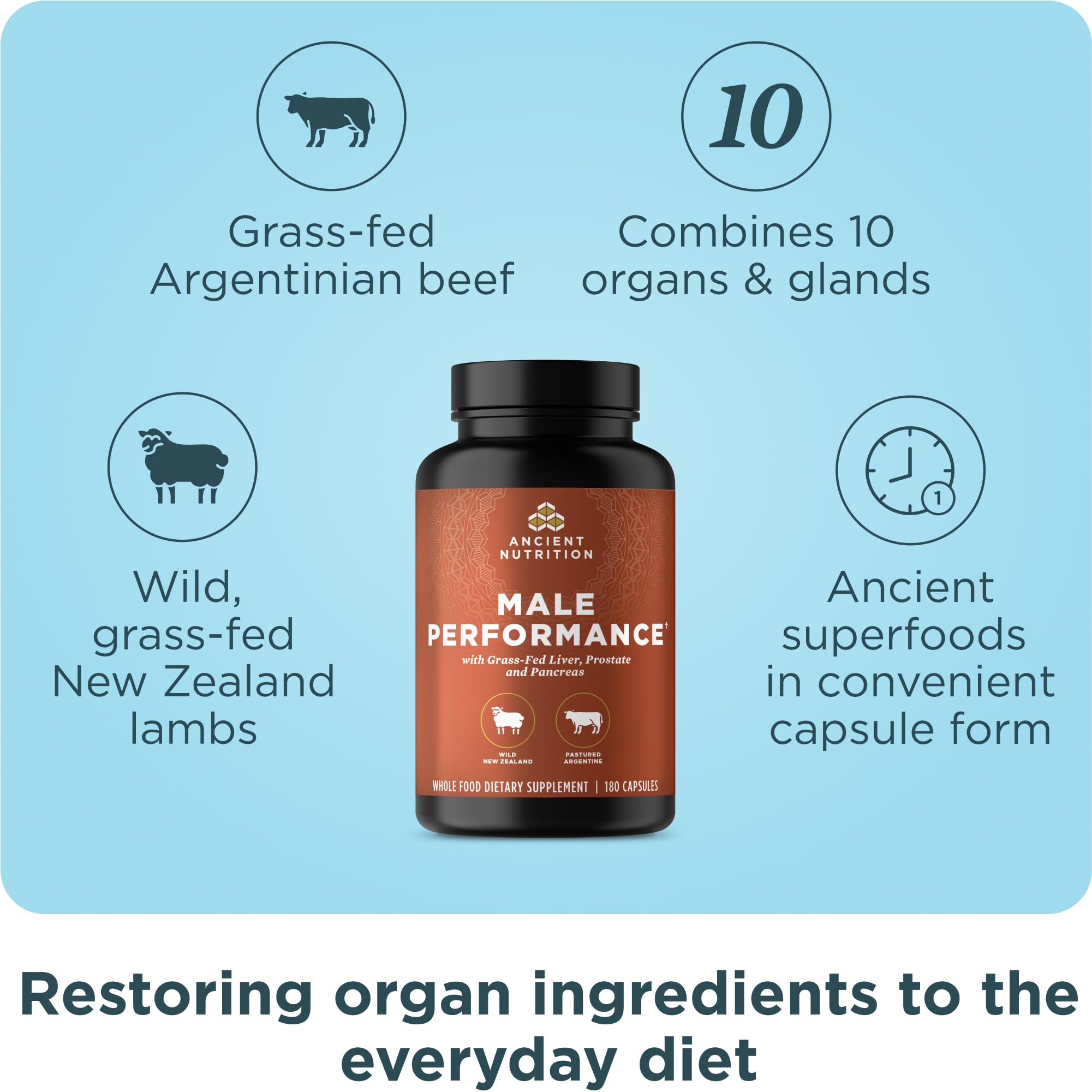 Ancient Nutrition Organ Supplements for Men, Grass-Fed and Wild Organ Complex Capsules, Liver, Prostate, Pancreas Supports Male Performance, Healthy Aging, 180 Ct Ancient NutritionAu supplements